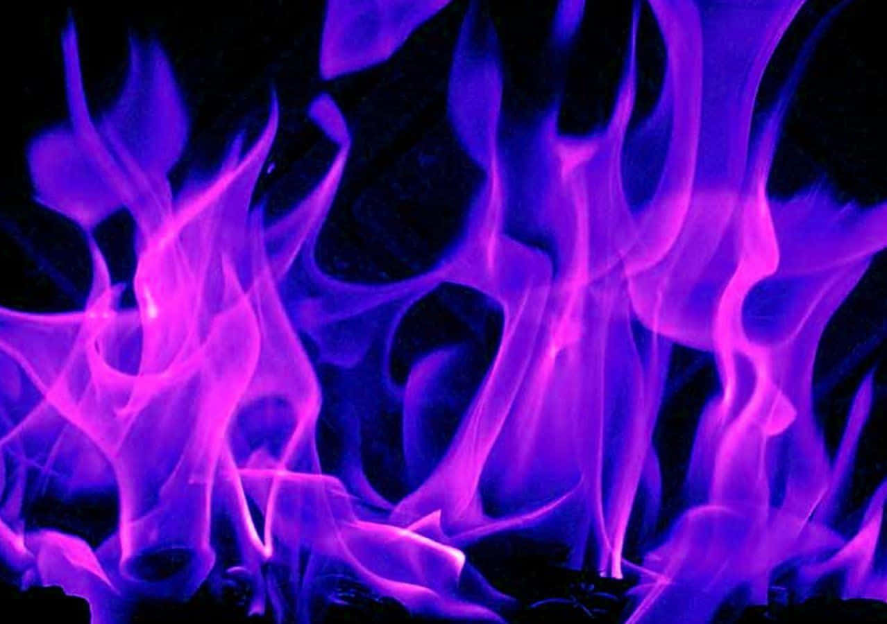 Oplyst i herlige lyserøde flammer Wallpapers