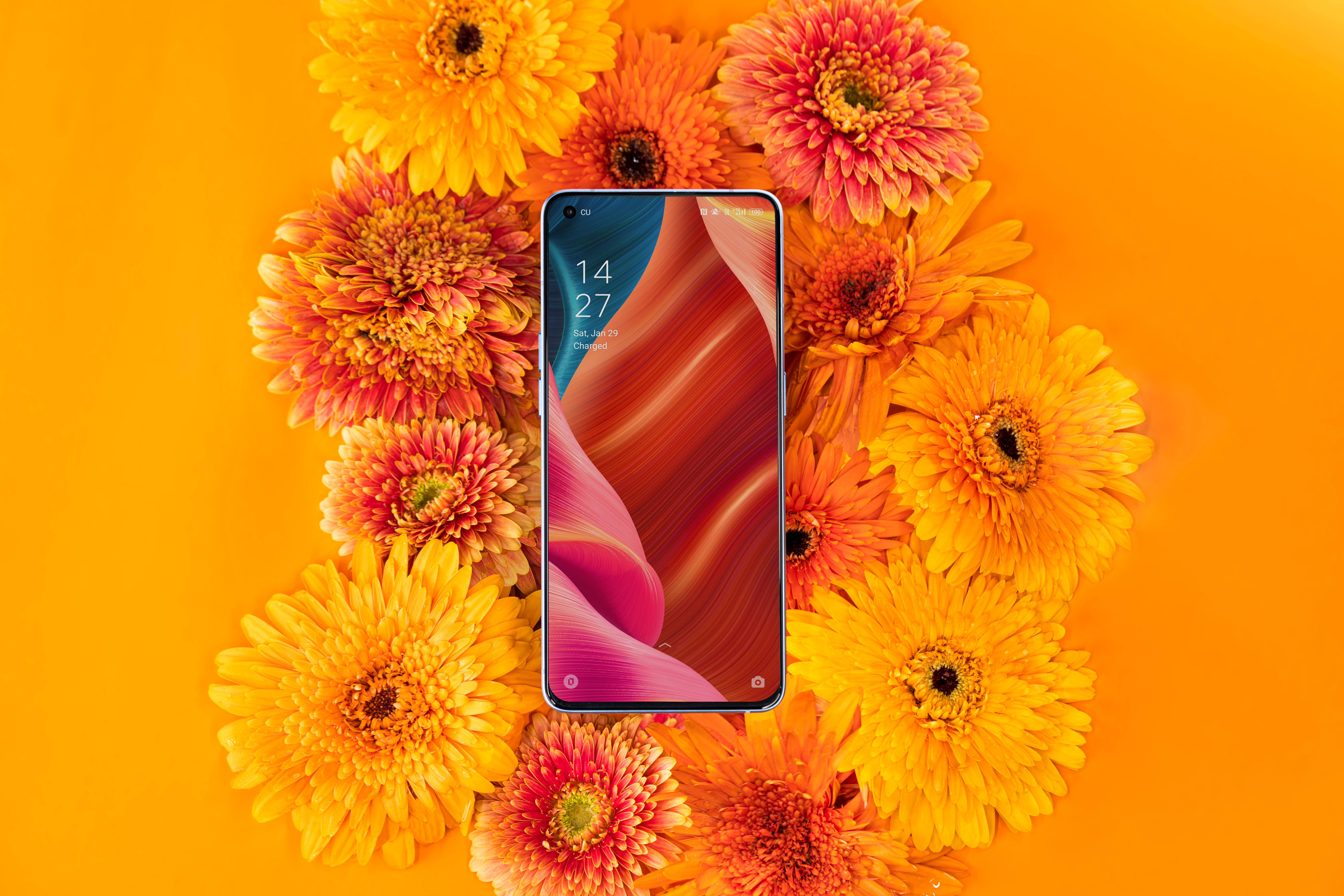 Oppo-smartphone og blomstrende flora Wallpapers