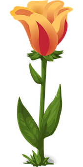 Orange gul tulipan vektor illustration Wallpapers