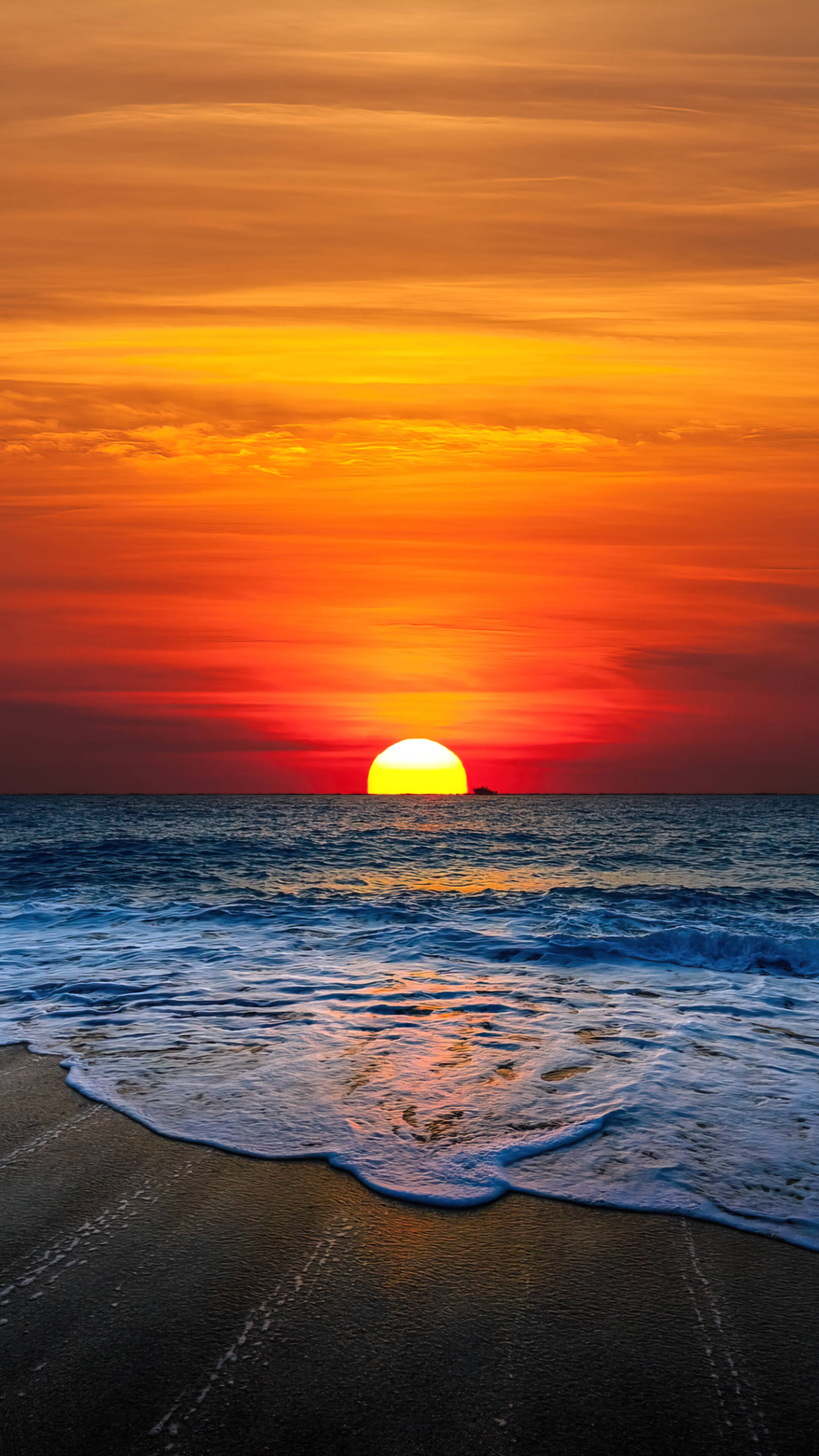 Orange solnedgang over strand Android Wallpapers