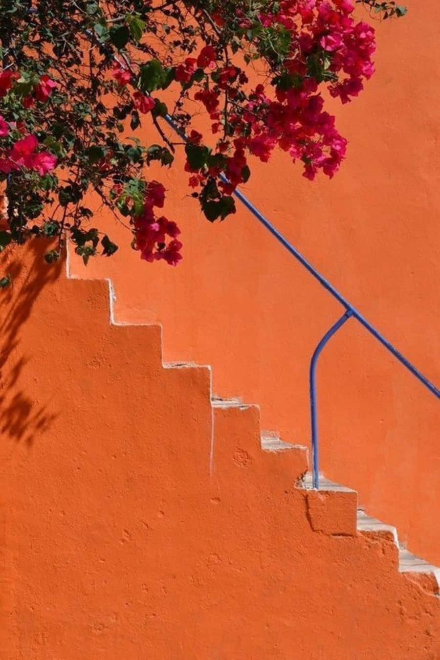 Orange Æstetik - En Farverig Verden Wallpapers