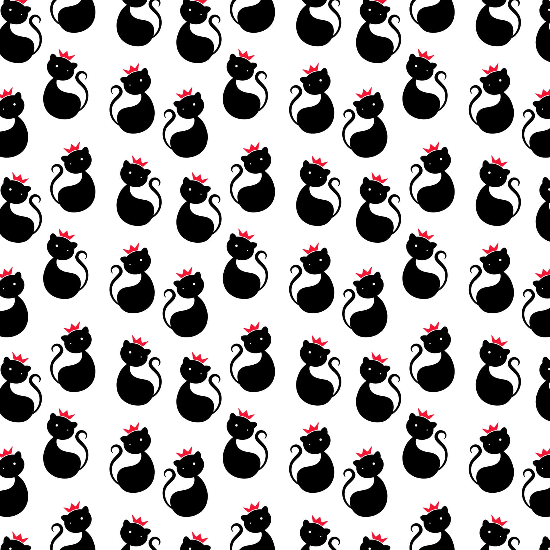 På jagt - en sort kat på udkig efter sit bytte Wallpapers