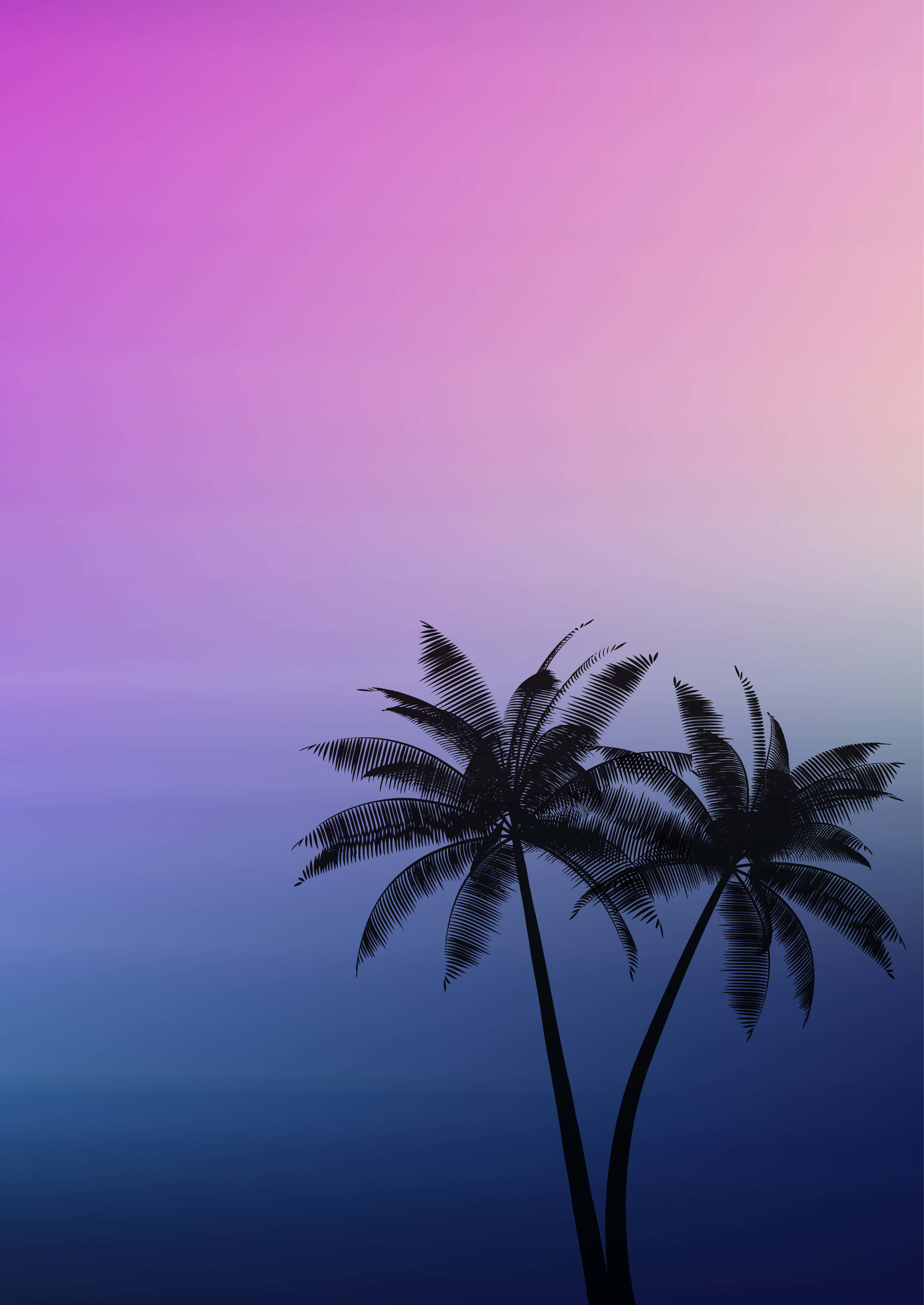 Palmetræer baggrund Wallpapers
