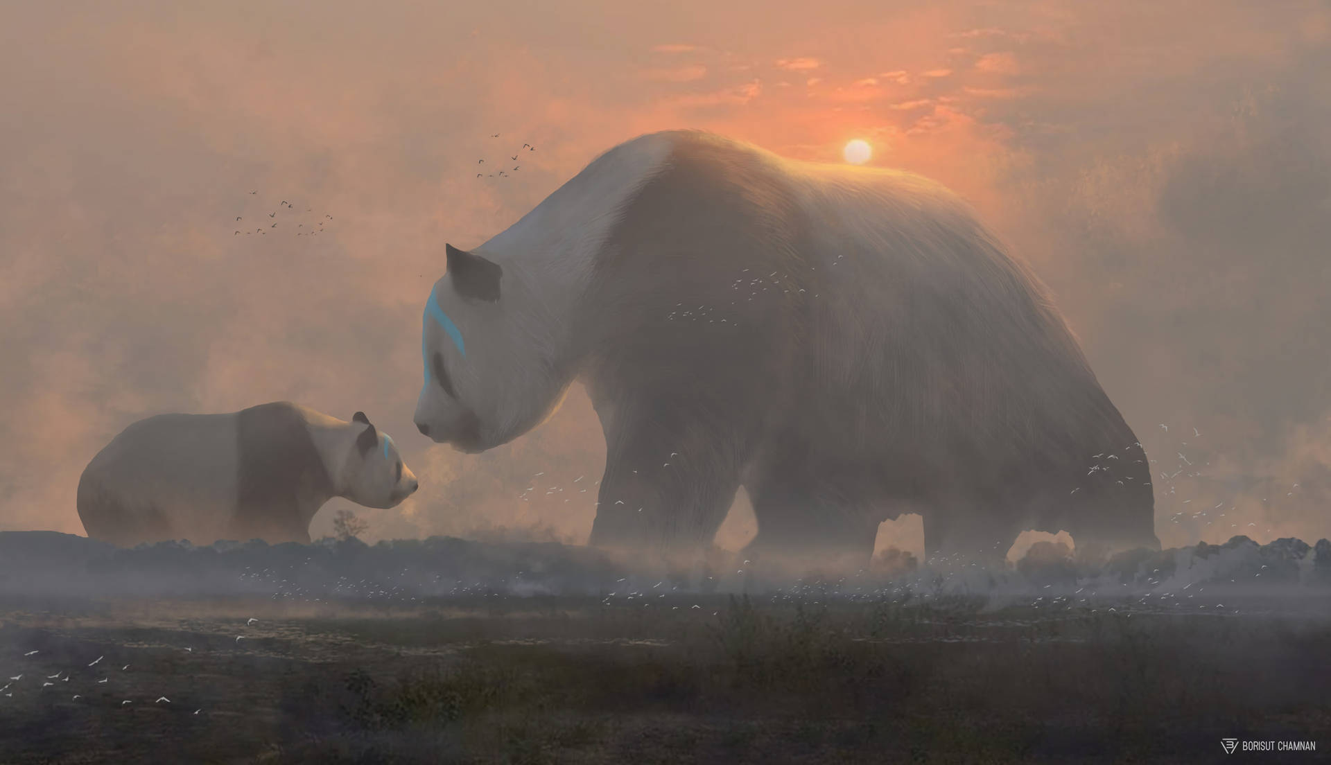 Panda og unge i skyet solnedgang som skrivebordsbaggrund. — Panda Wallpapers