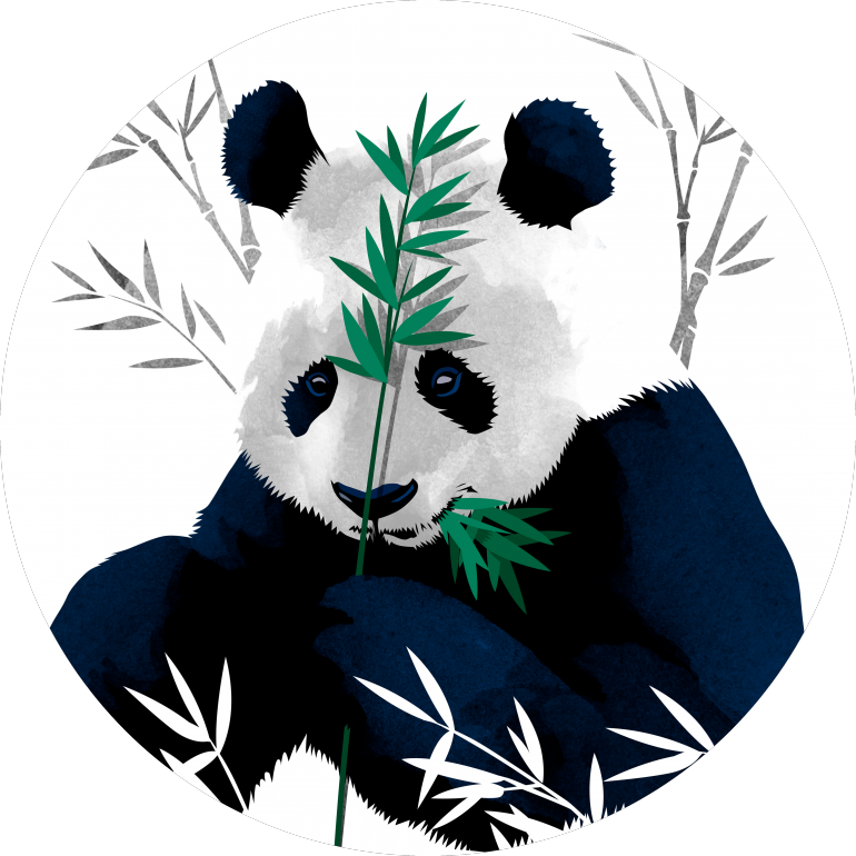 Panda spiser bambus - vektor kunst Wallpapers