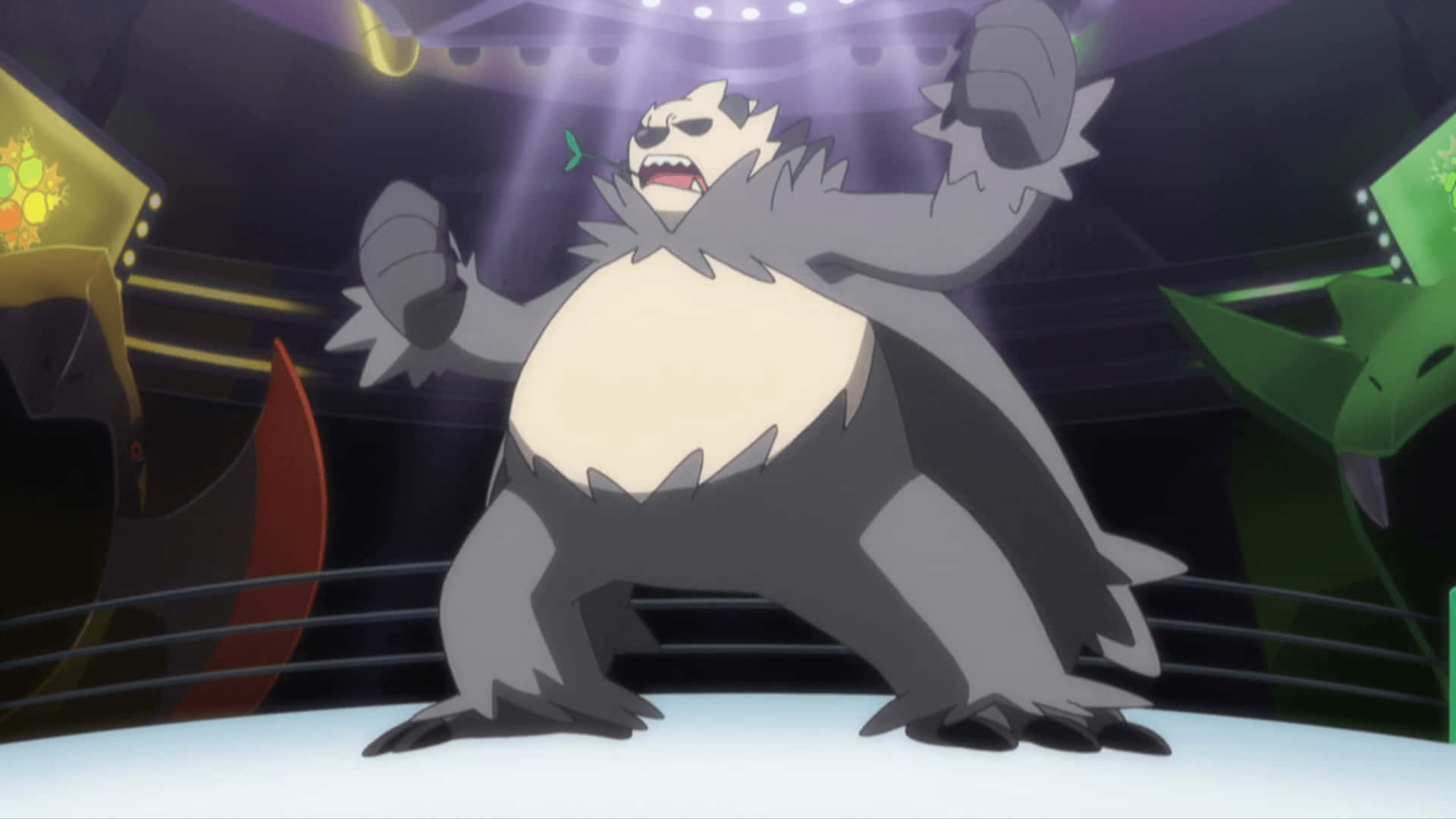 Pangoro på en kampring Wallpapers