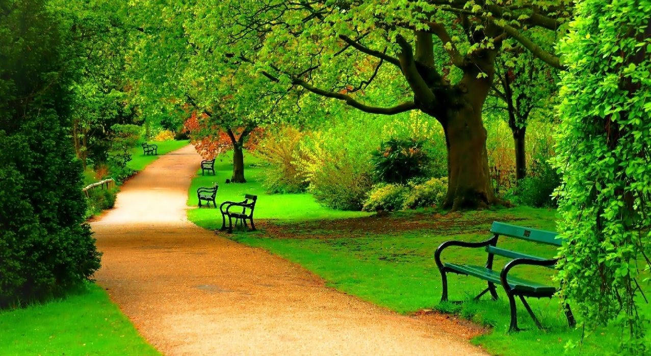 Parksti Fuld Skærm Hd Skrivebord — Natur Wallpapers