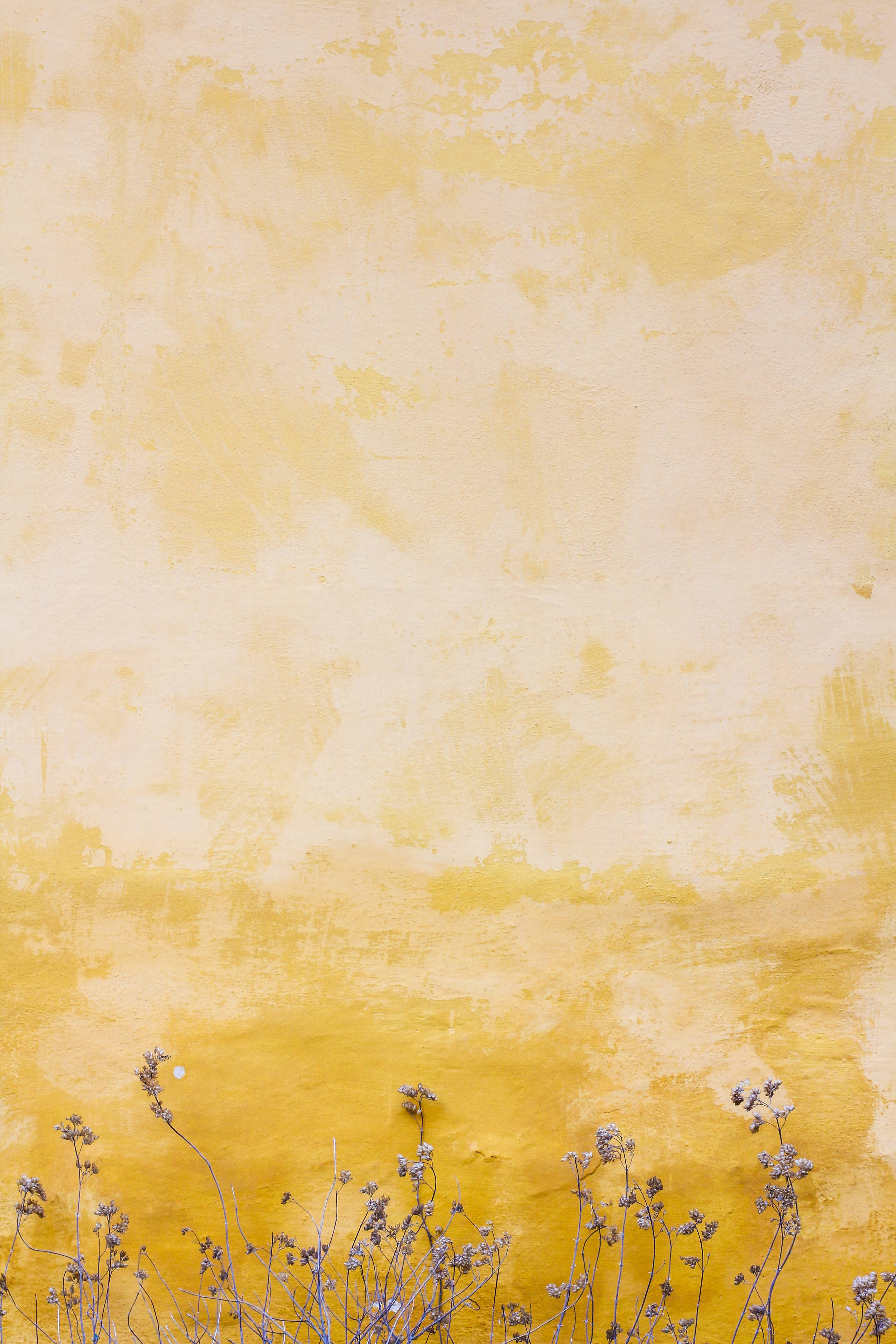 Pastel iPhone sennepsgule blomster Wallpapers