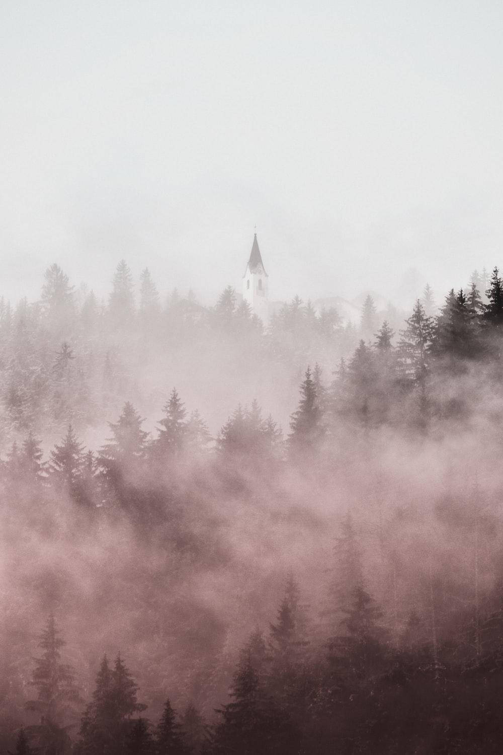 Pastel iPhone Tåge Træer Wallpapers