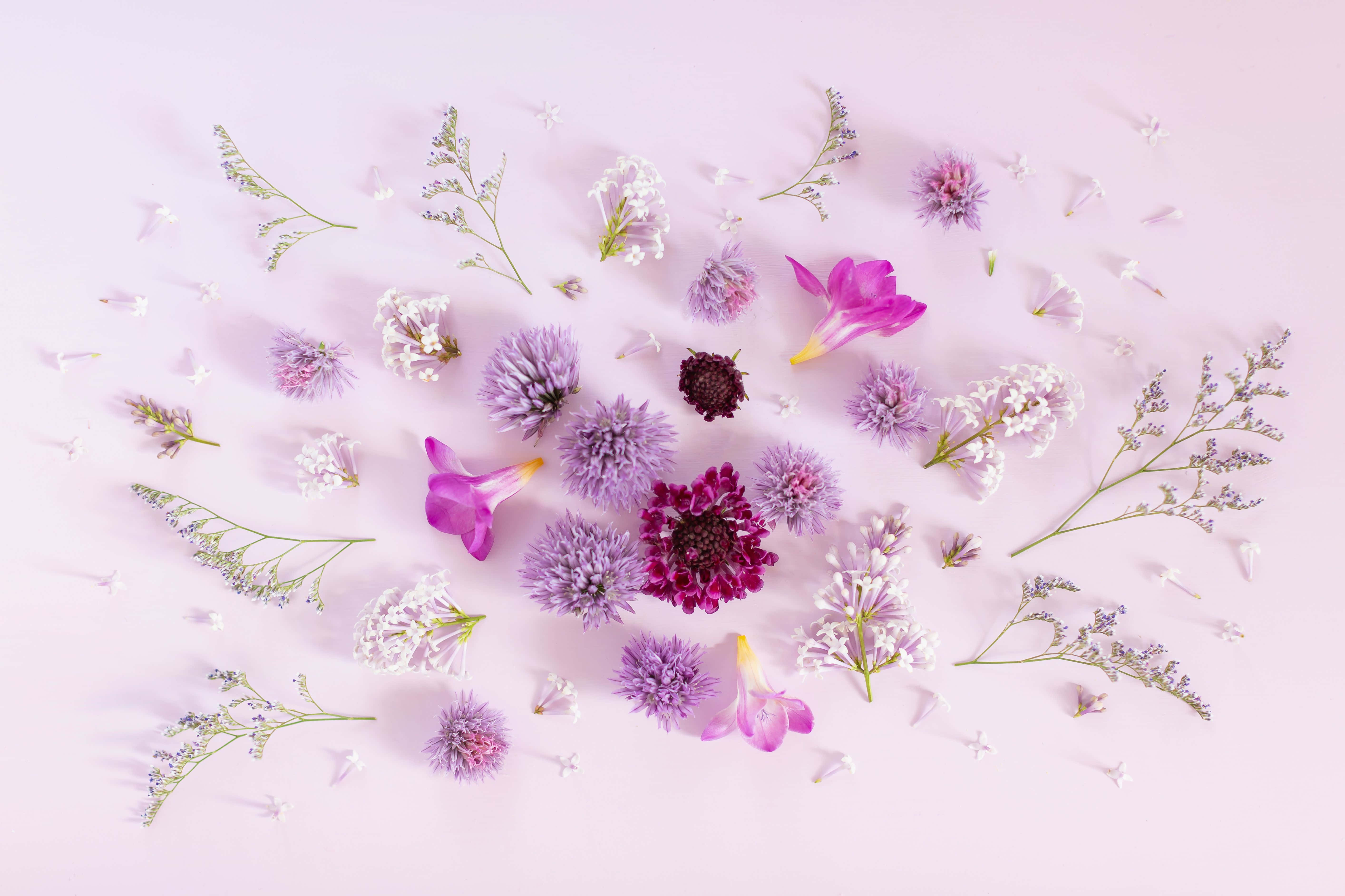 Pastel lilla baggrund Wallpapers