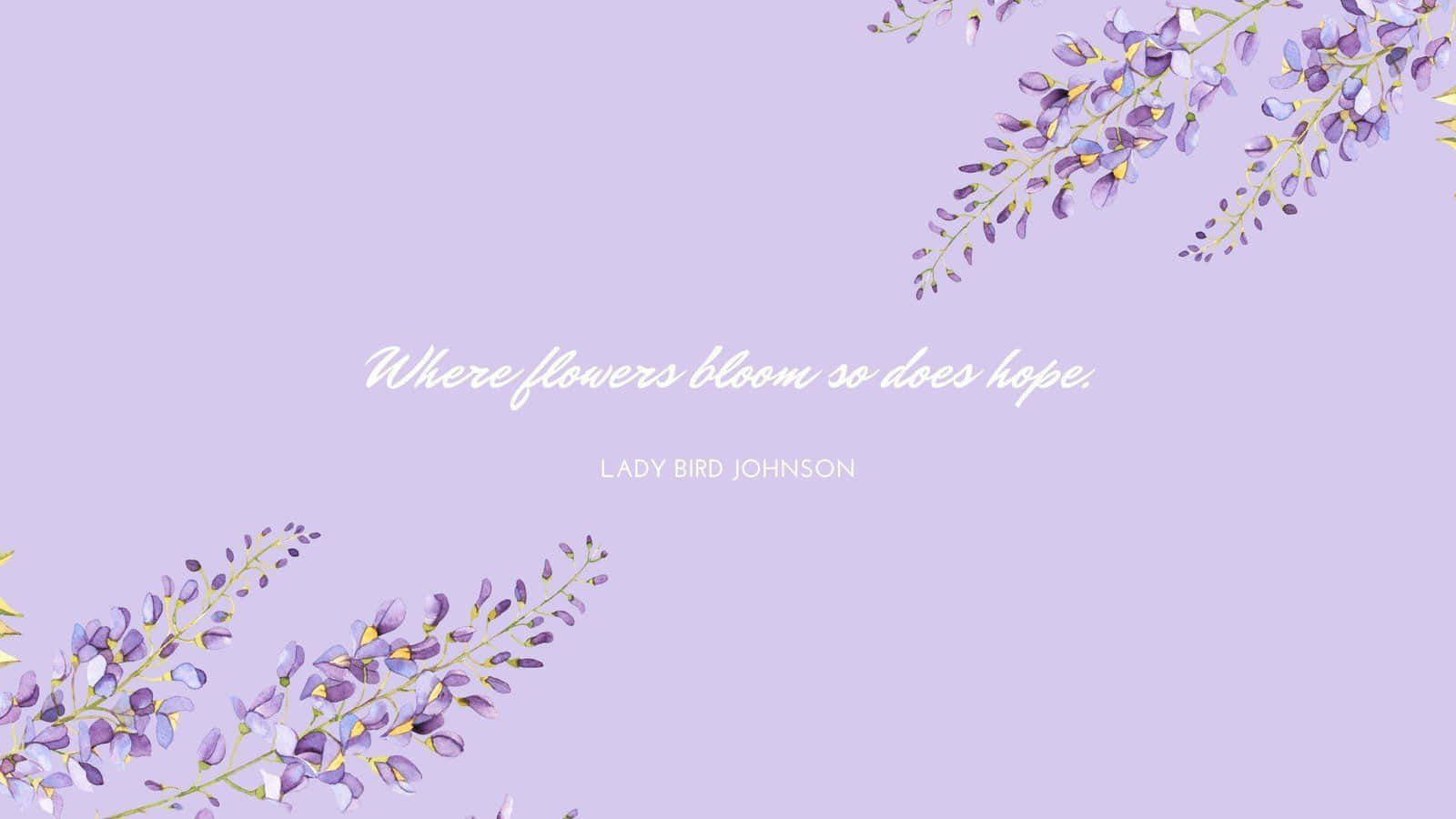 Pastel lilla baggrund Wallpapers