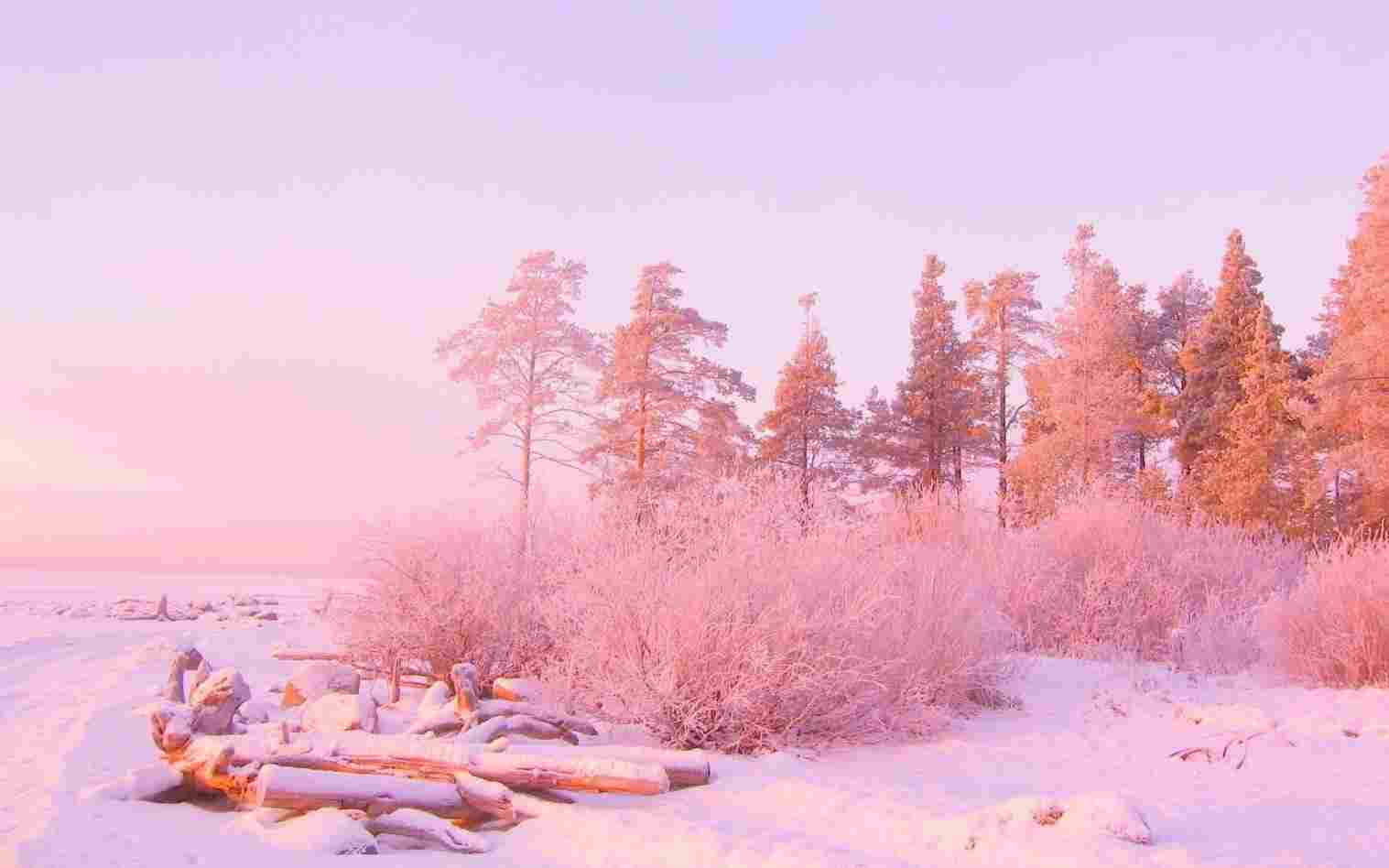 Pastel pink baggrund Wallpapers