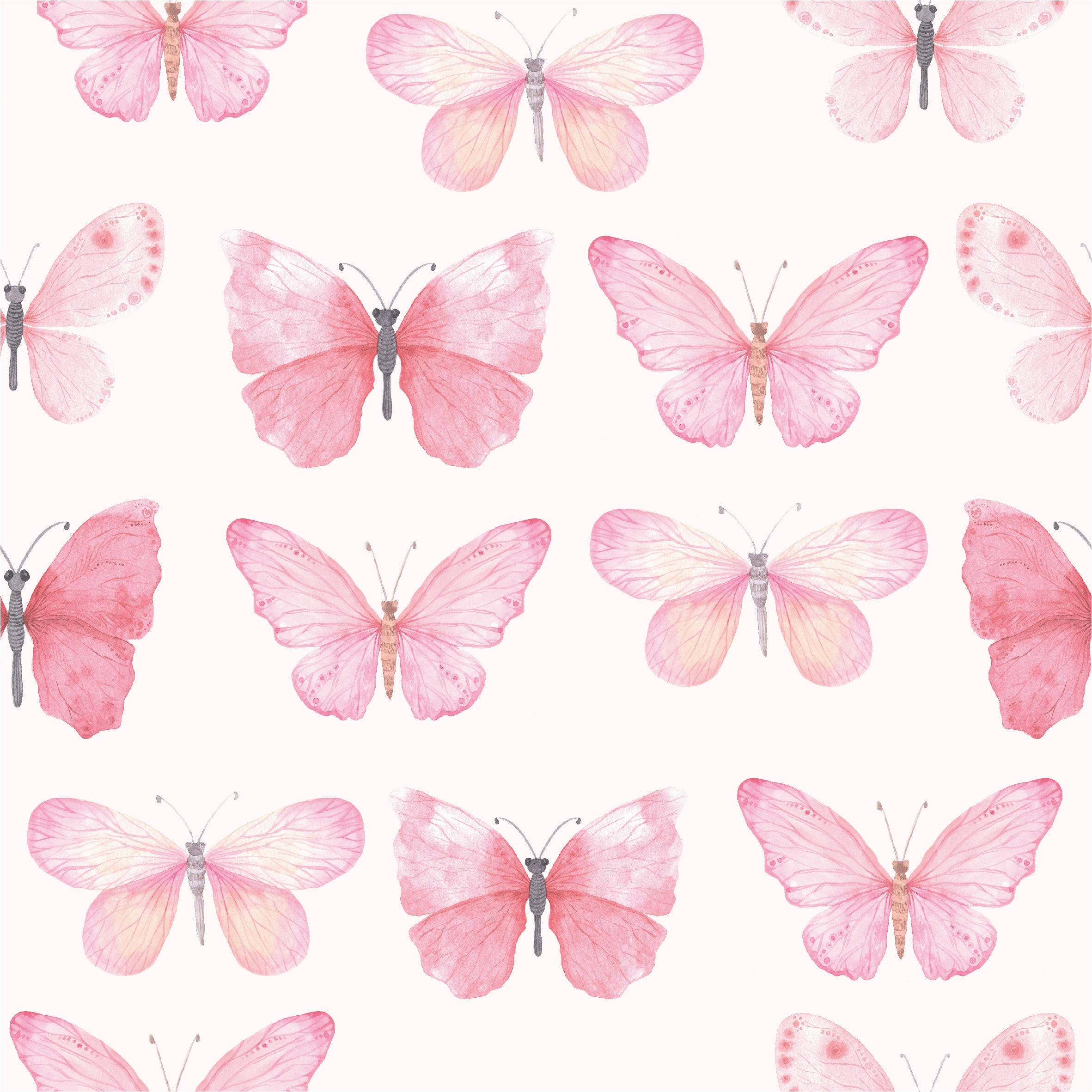 Pastel sommerfugle i lyserøde nuancer Wallpapers