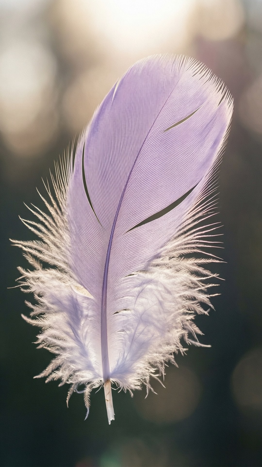 Pastel Svævende Fjer Wallpapers