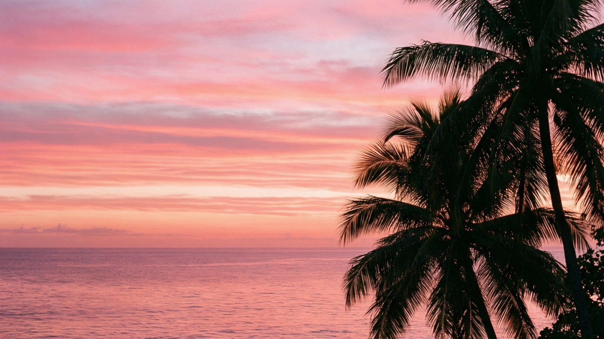 Pastel Tropisk Solnedgang Wallpapers