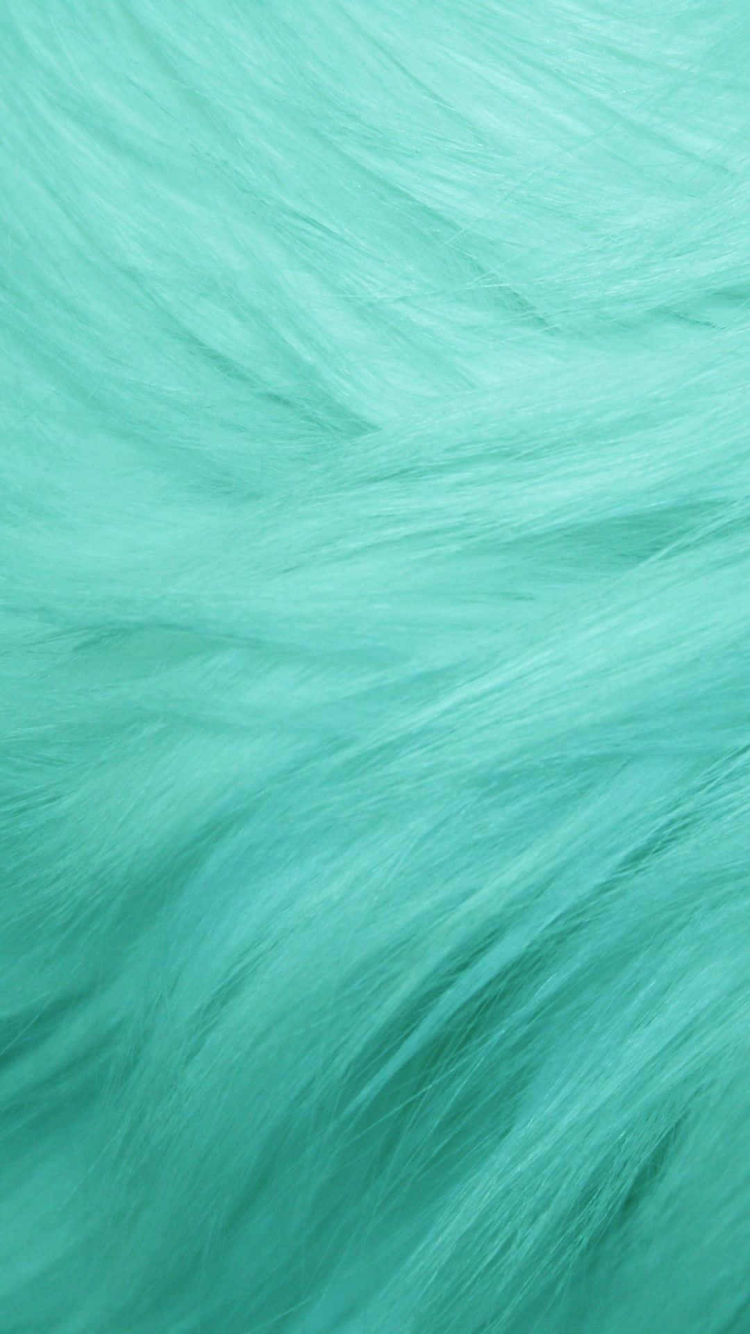 Pastelgrøn baggrund med pelsstrå Wallpapers