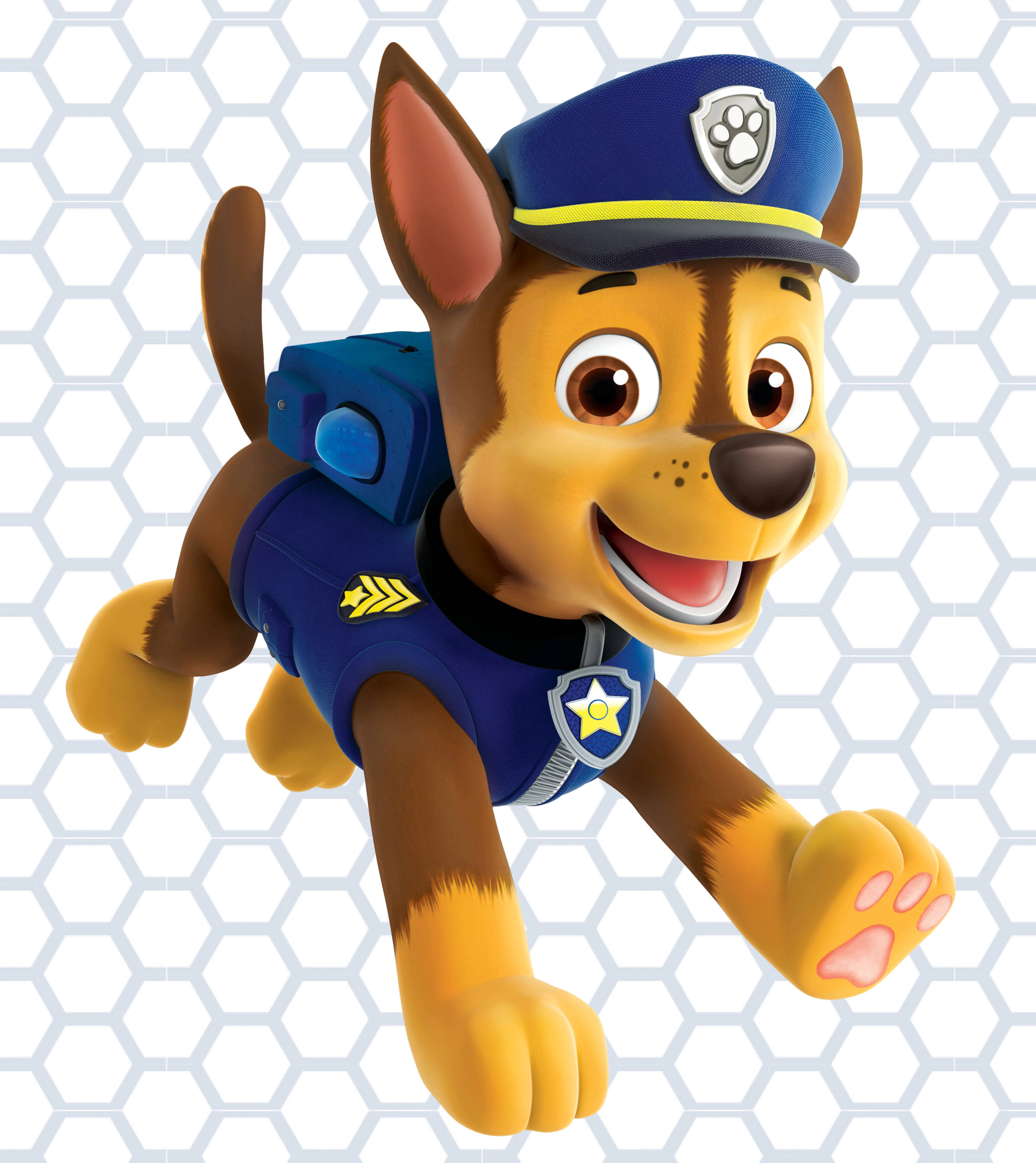 Paw Patrol Chase Wallpapers