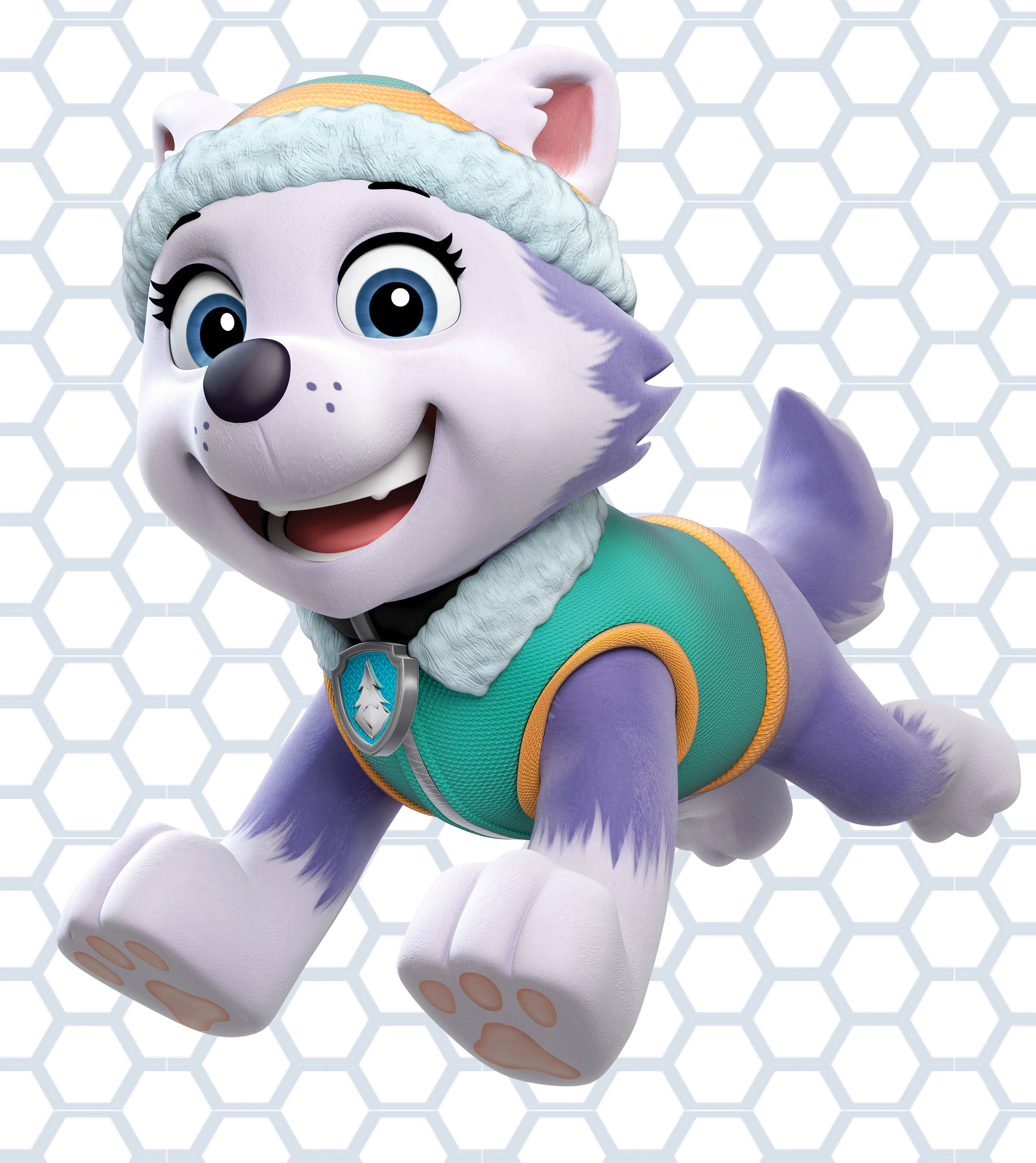 Paw Patrol Everest Wallpapers