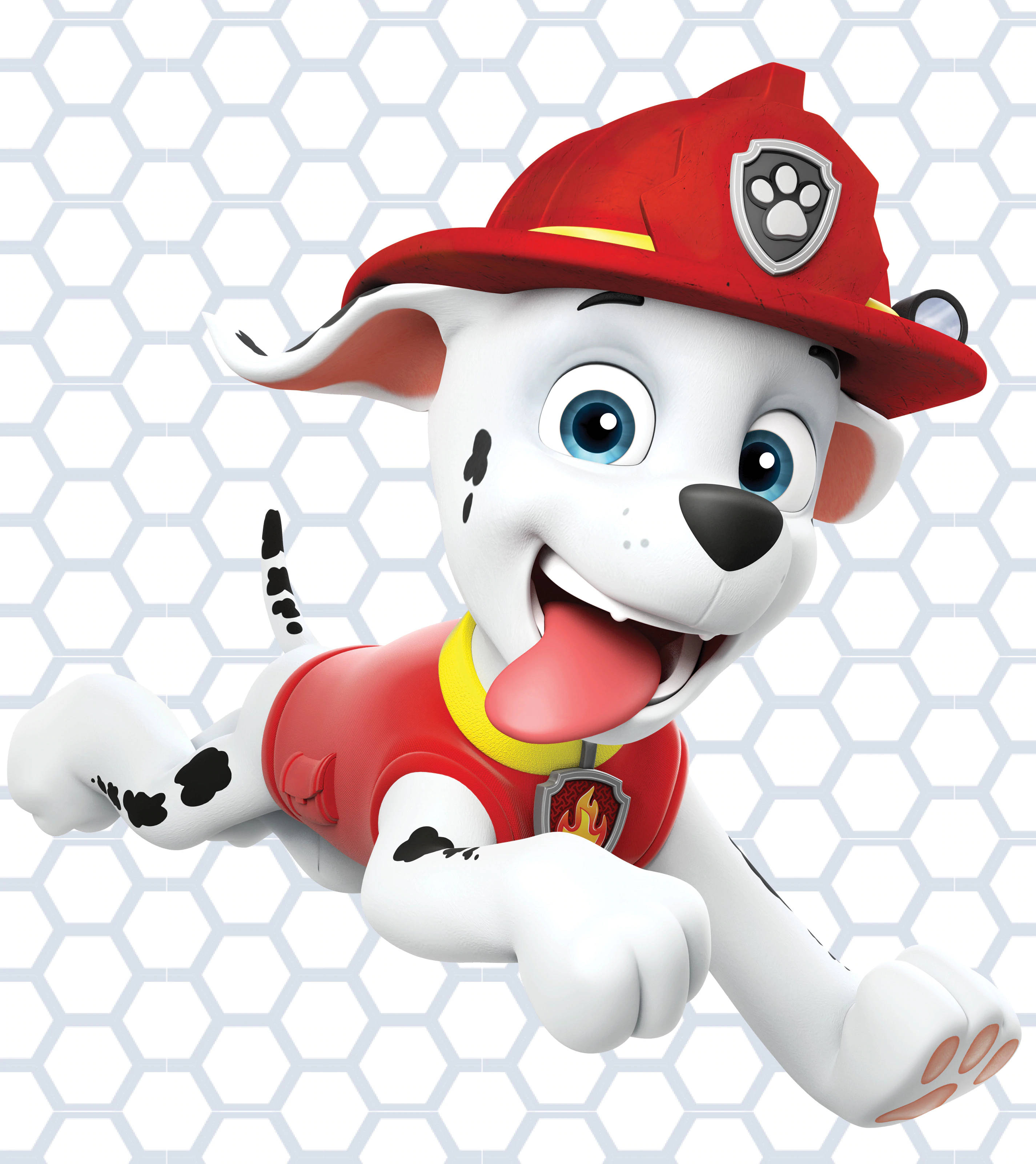 Paw Patrol Marshall Wallpapers