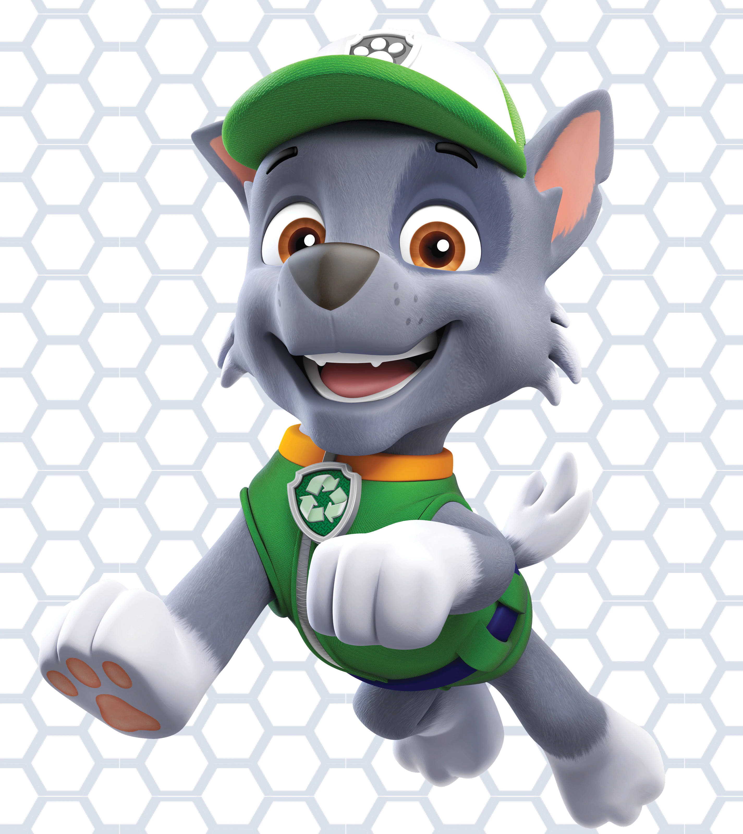 Paw Patrol Rocky Wallpapers