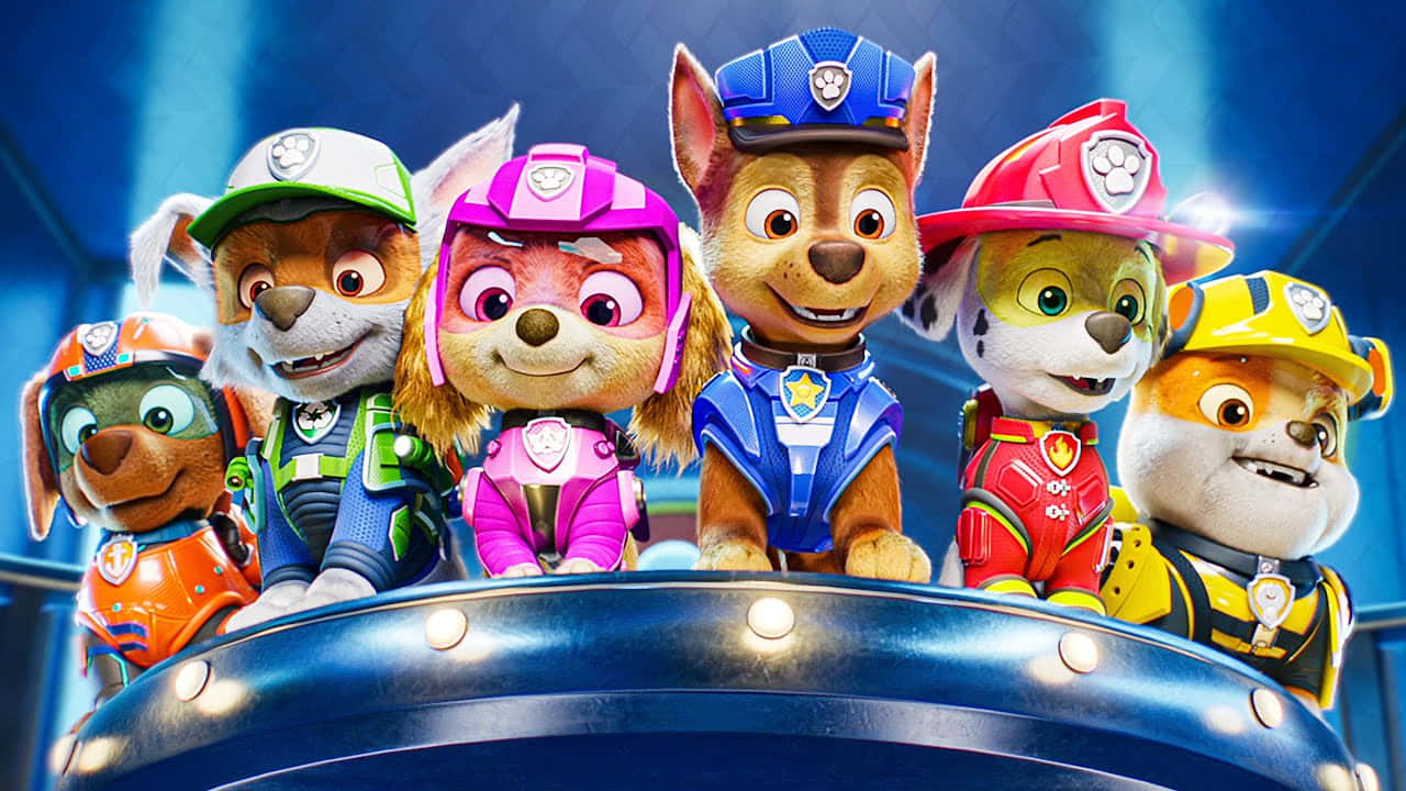 Paw Patrol The Movie Pupperne holder opsyn Wallpapers