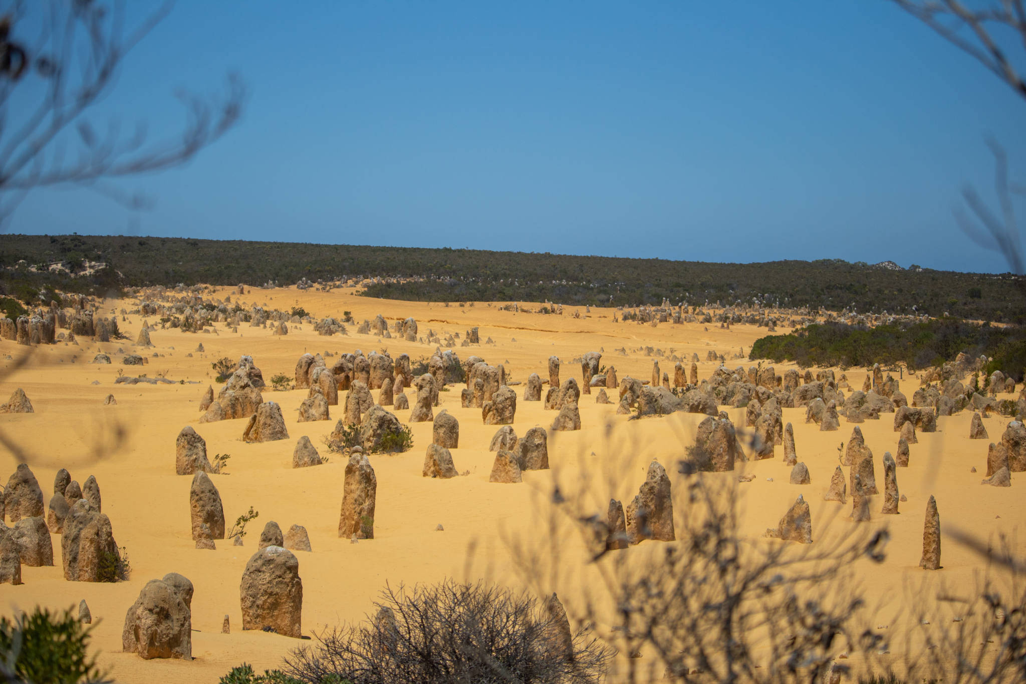 Perth Yanchep Nationalpark Wallpapers