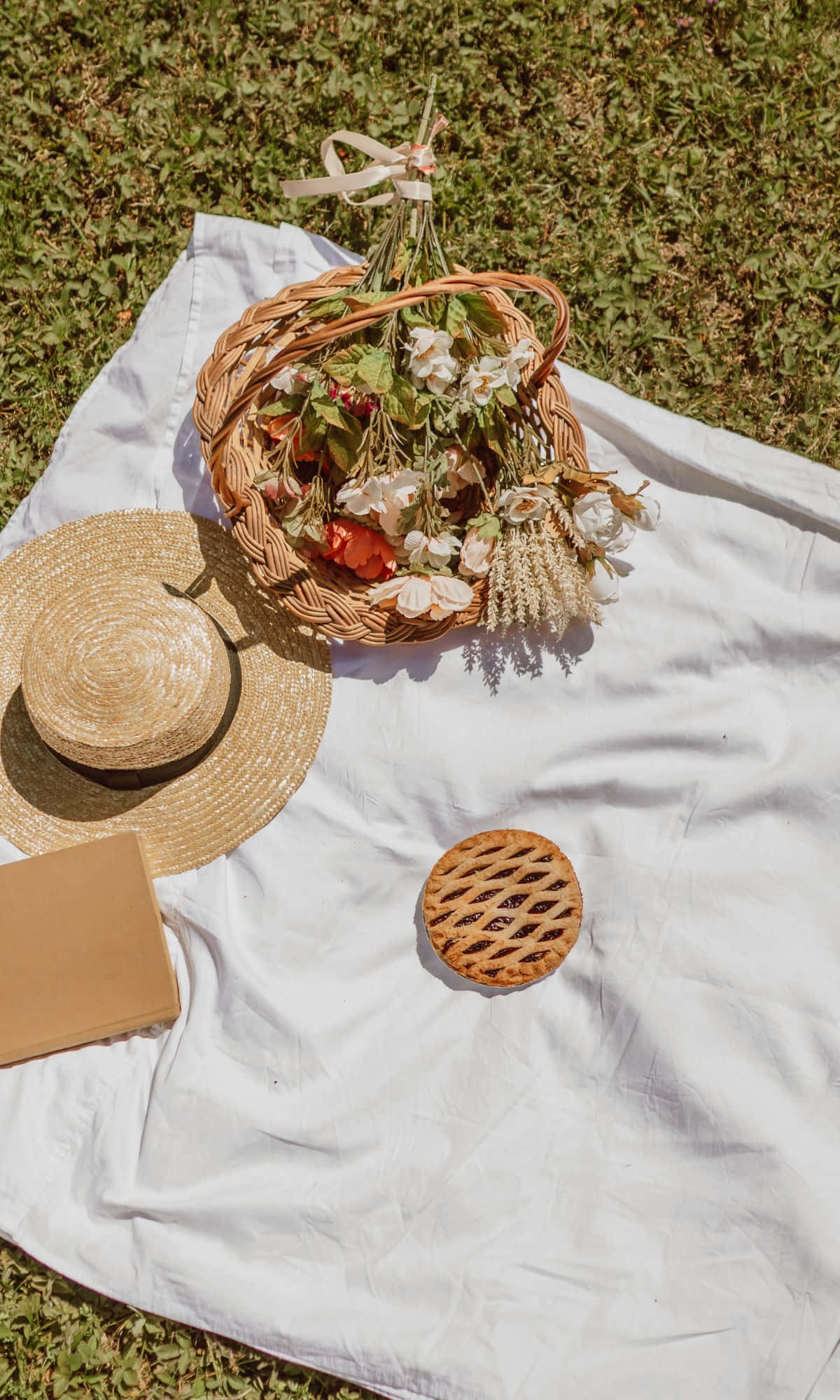 picnickurv med en hat, en kurv og en bog Wallpapers