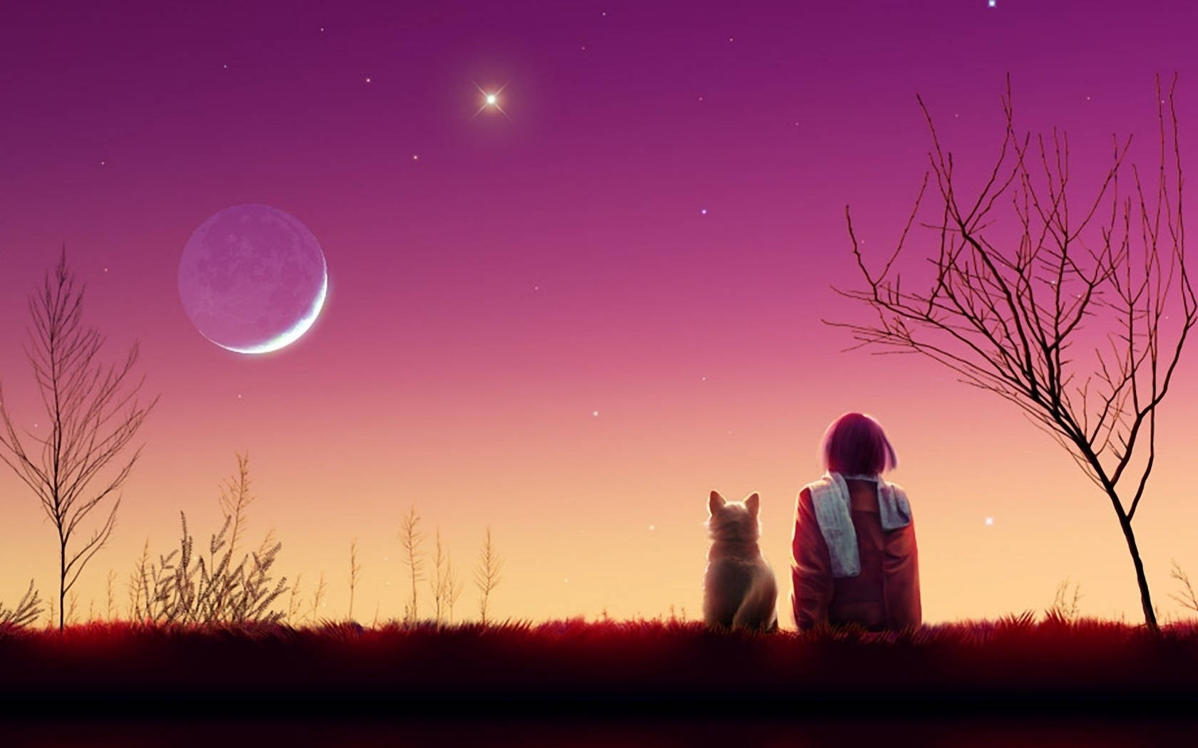 Pige og kat anime æstetisk solnedgang Wallpapers