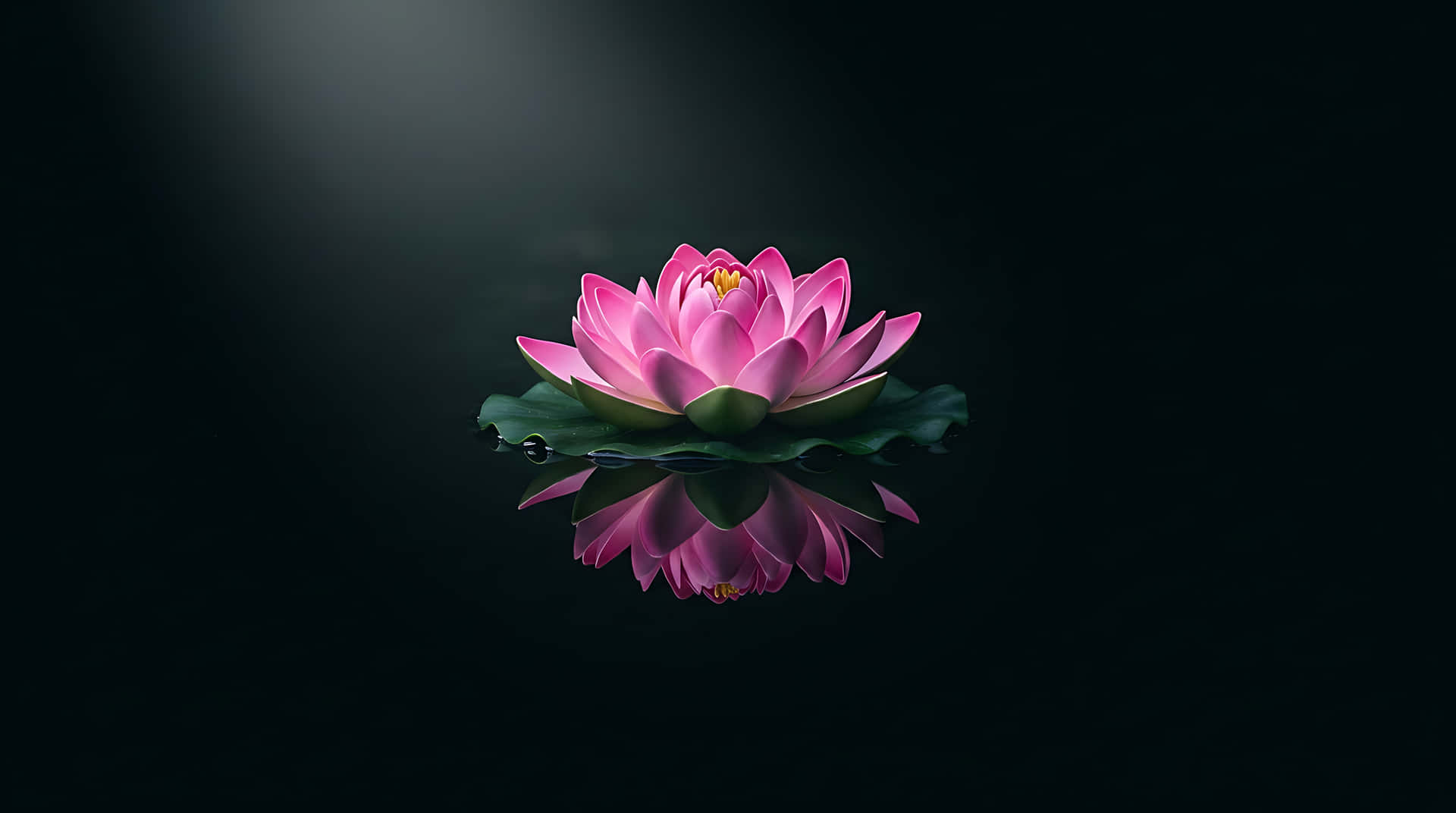 lotus, pink lotus, vandlilje, spejling, zen, meditation, velvære, flydende, minimalistisk, spa, fredfyldt, ro, mørk baggrund, natur, blomst, blomstring, renhed, spiritualitet, yoga, afslapning
