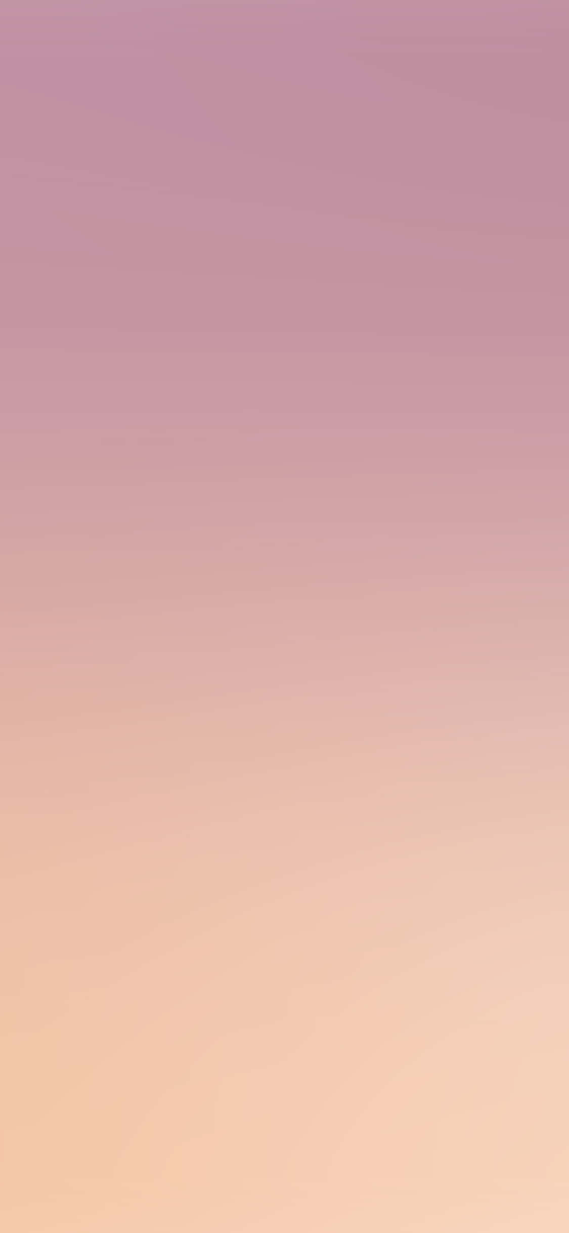Pink Ombre Gradientbaggrund Wallpapers