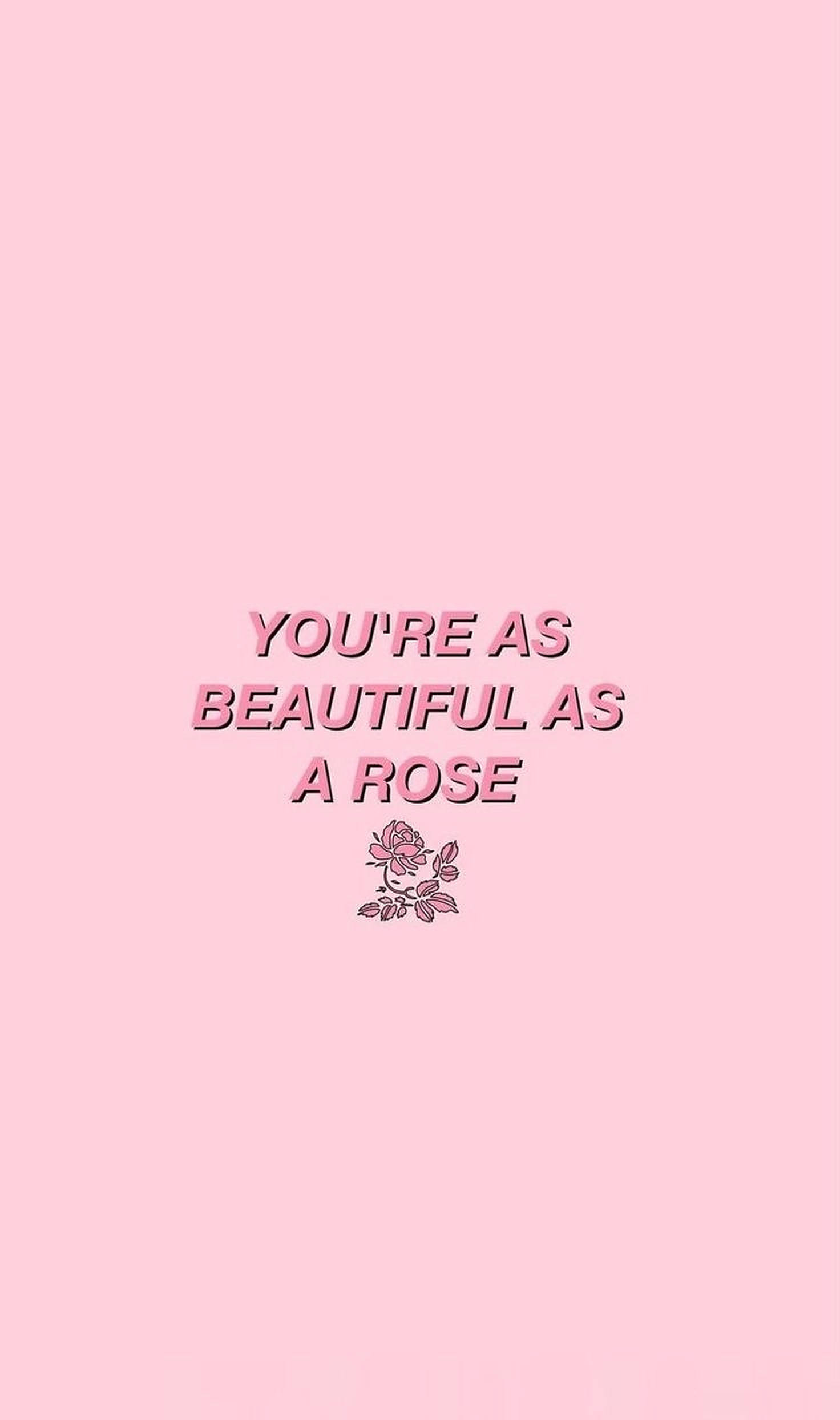 Pink rose æstetiske ord Wallpapers