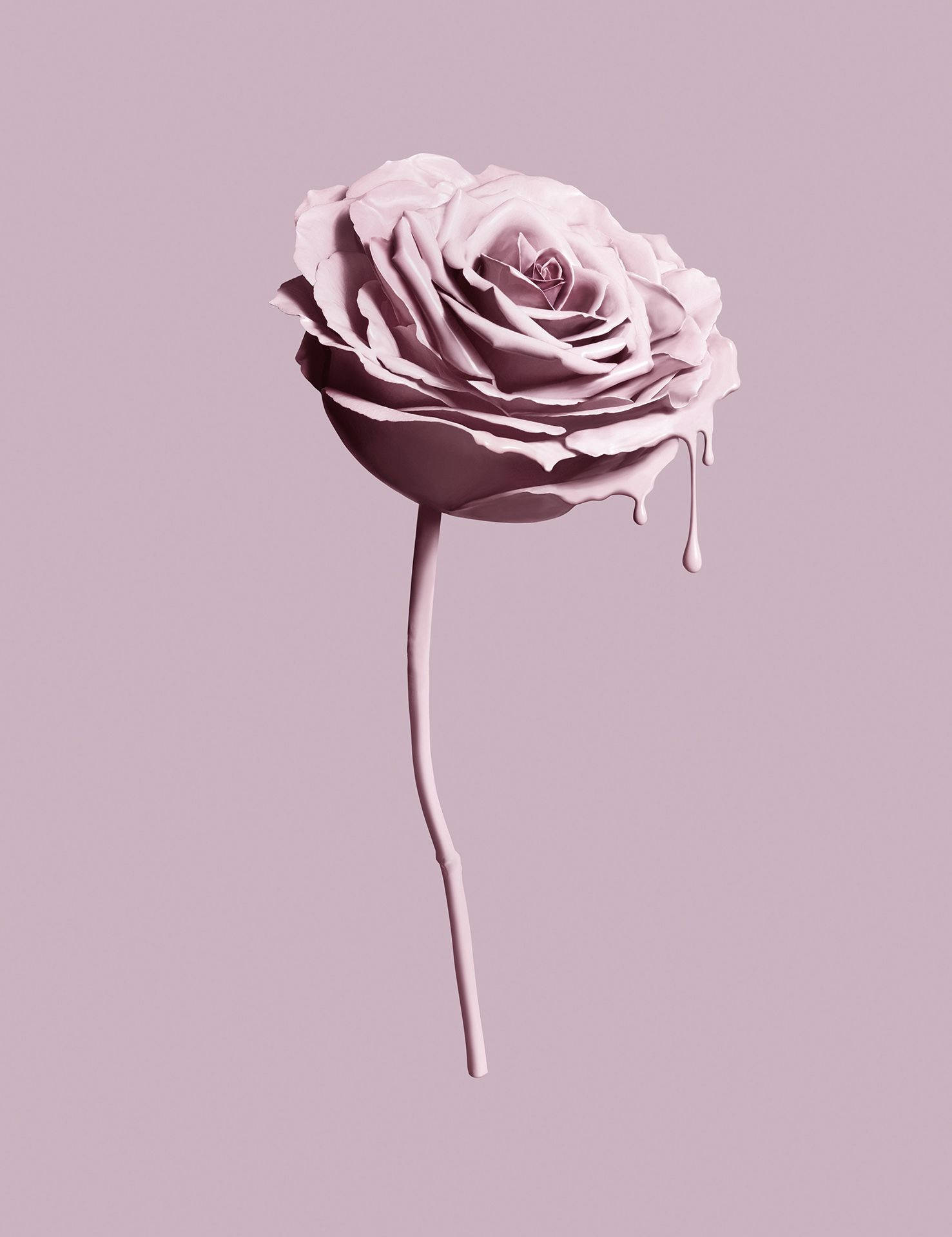 Pink Rose Tumblr Æstetik Wallpapers