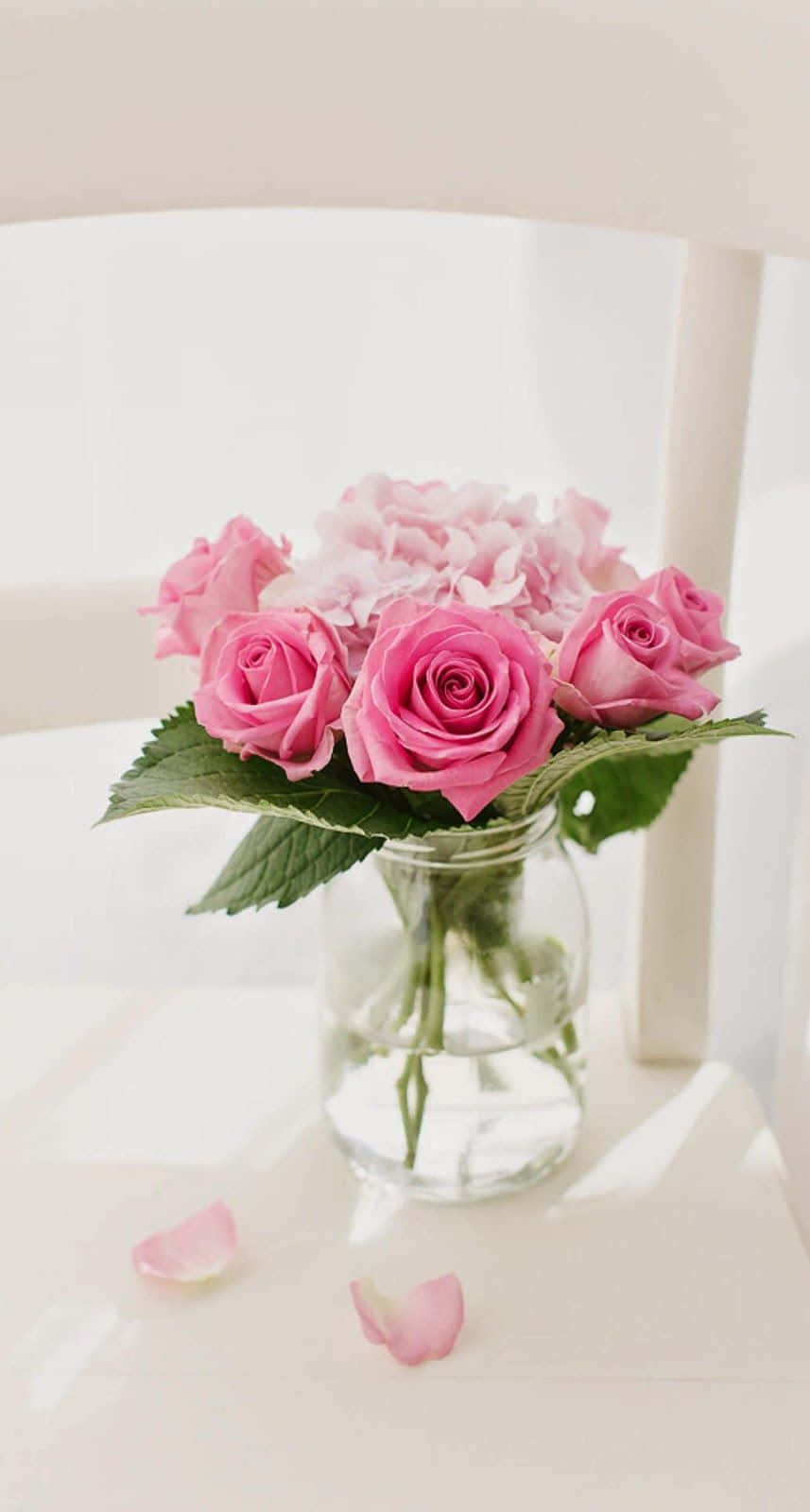 Pink roser i en vase på en hvid stol Wallpapers