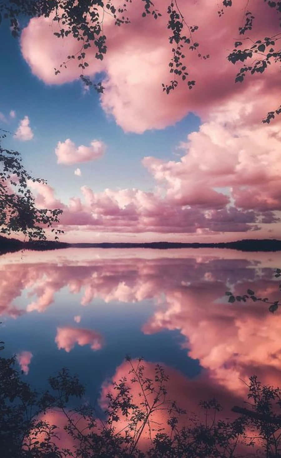 Pink Skyer Himmel Billeder Wallpapers