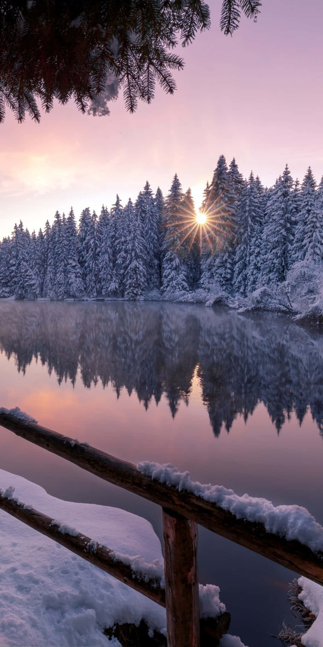 Pixel 3 vinterbaggrund iskold flod ved siden af skoven Wallpapers