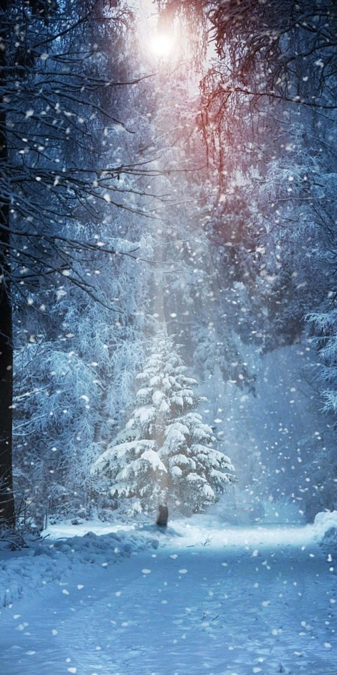 Pixel 3 vinterbaggrund med snedækket træ og spotlight Wallpapers