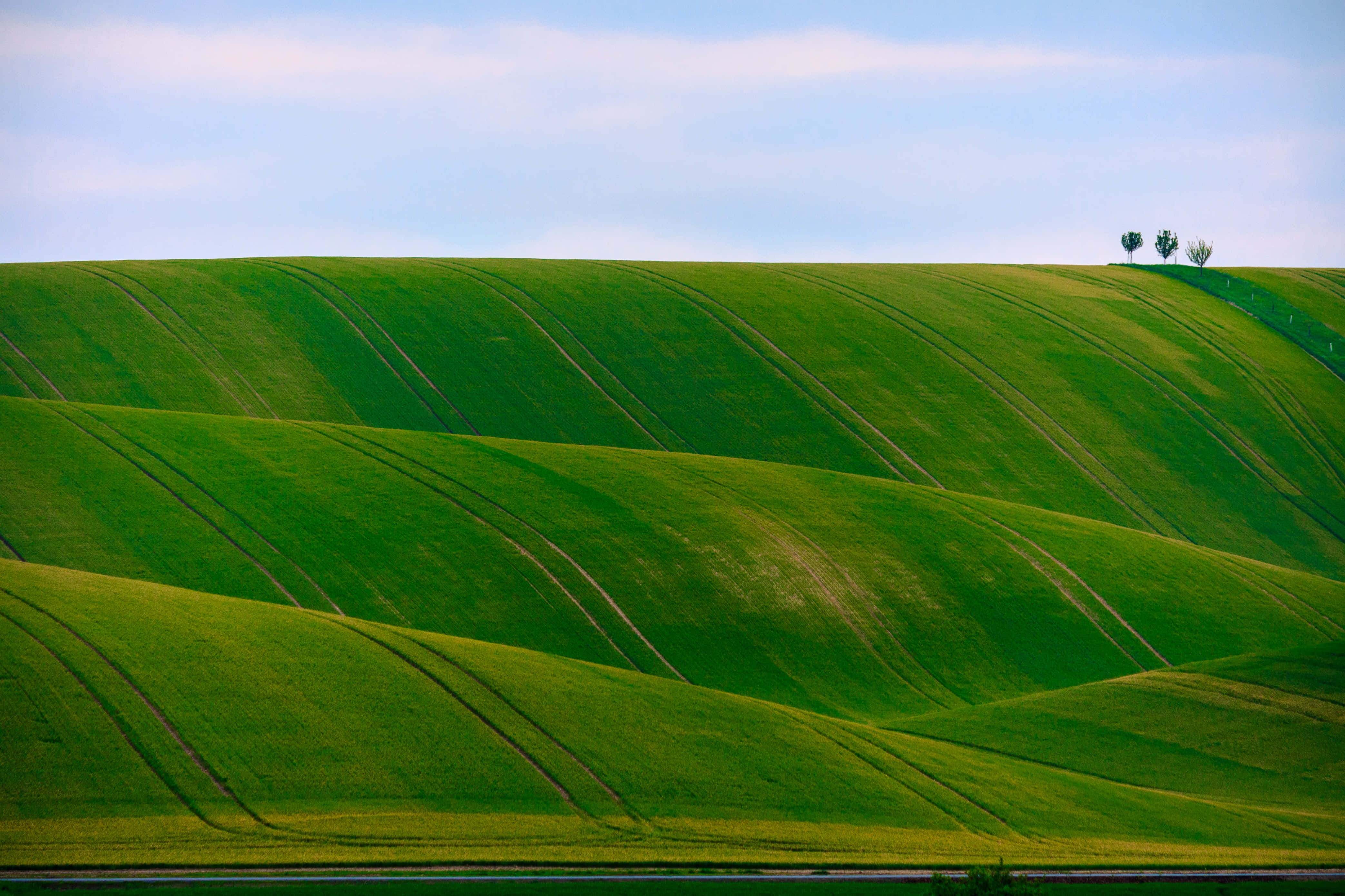Plej den naturlige skønhed Wallpapers