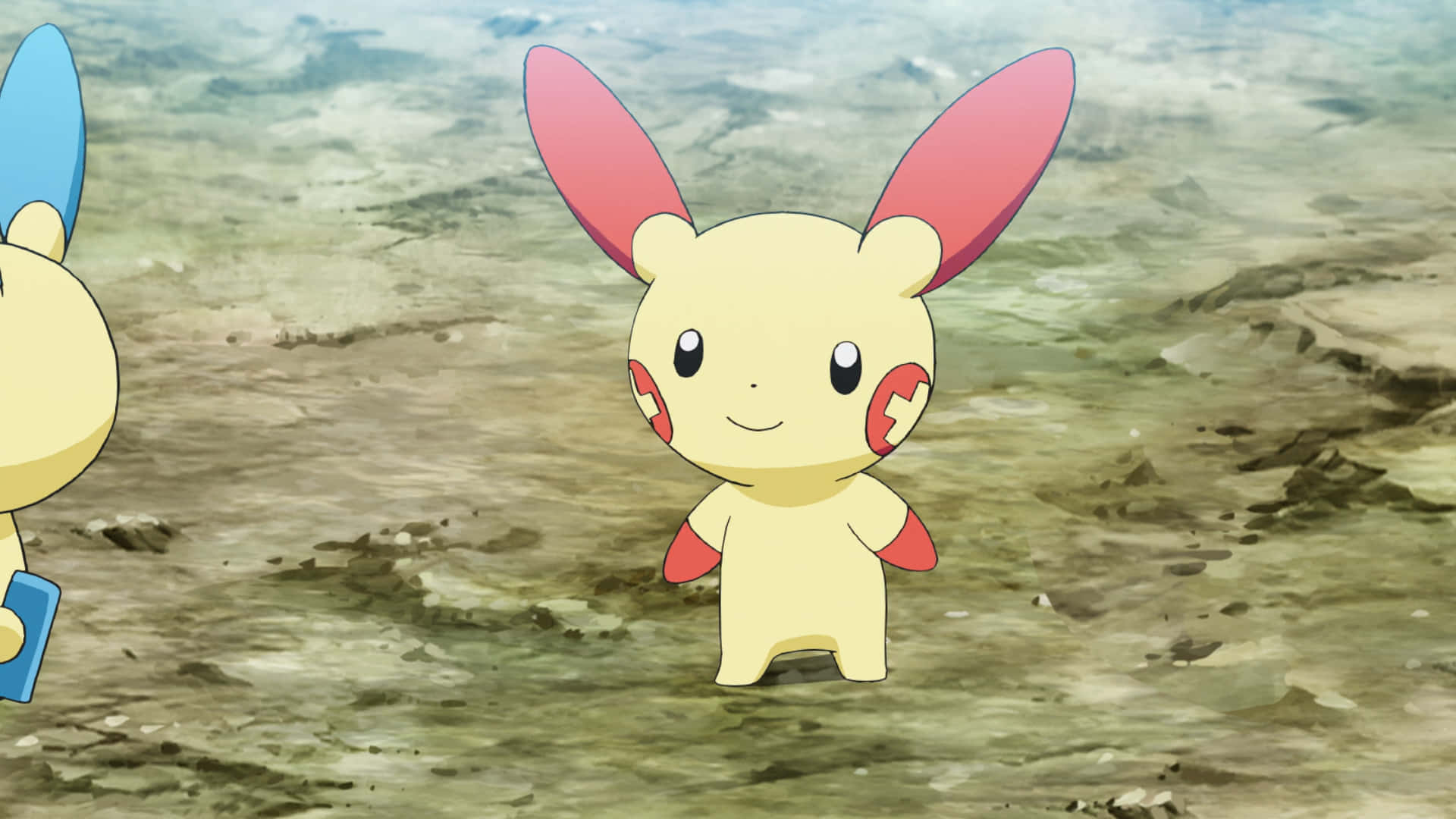 Plusle på land Wallpapers