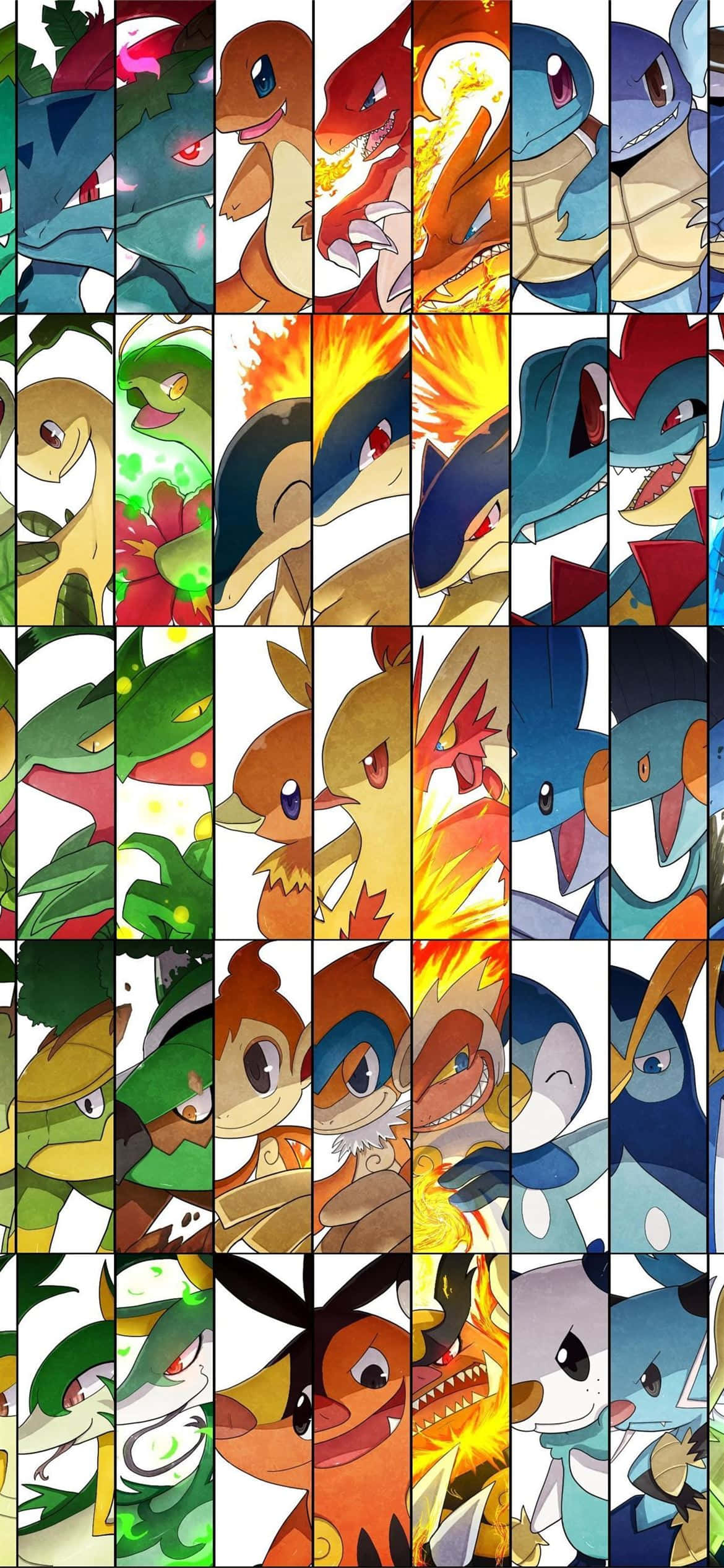 Pokémon Evolution Collage med Meganium Wallpapers