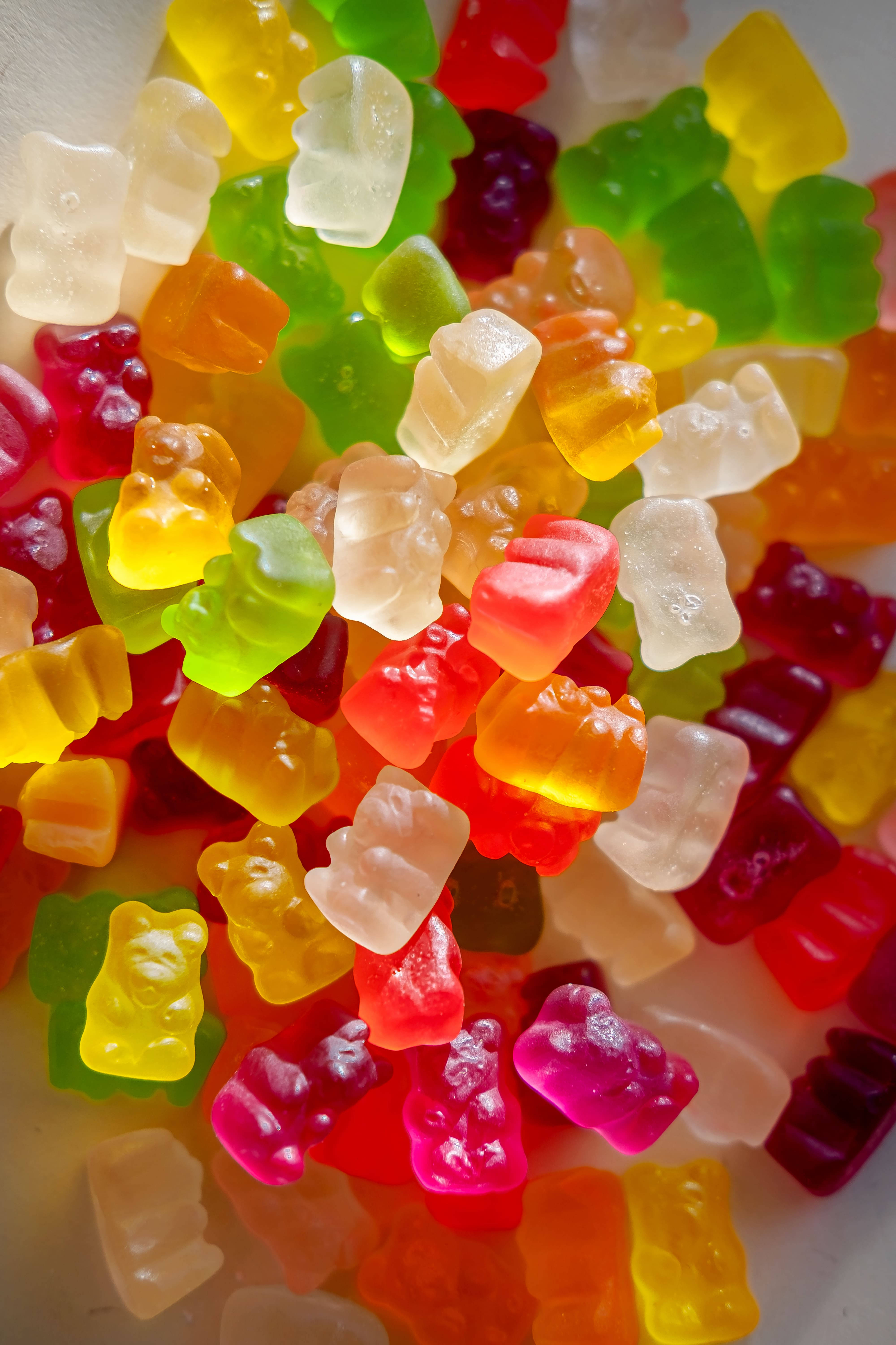 Portræt af seje gummibamser Wallpapers