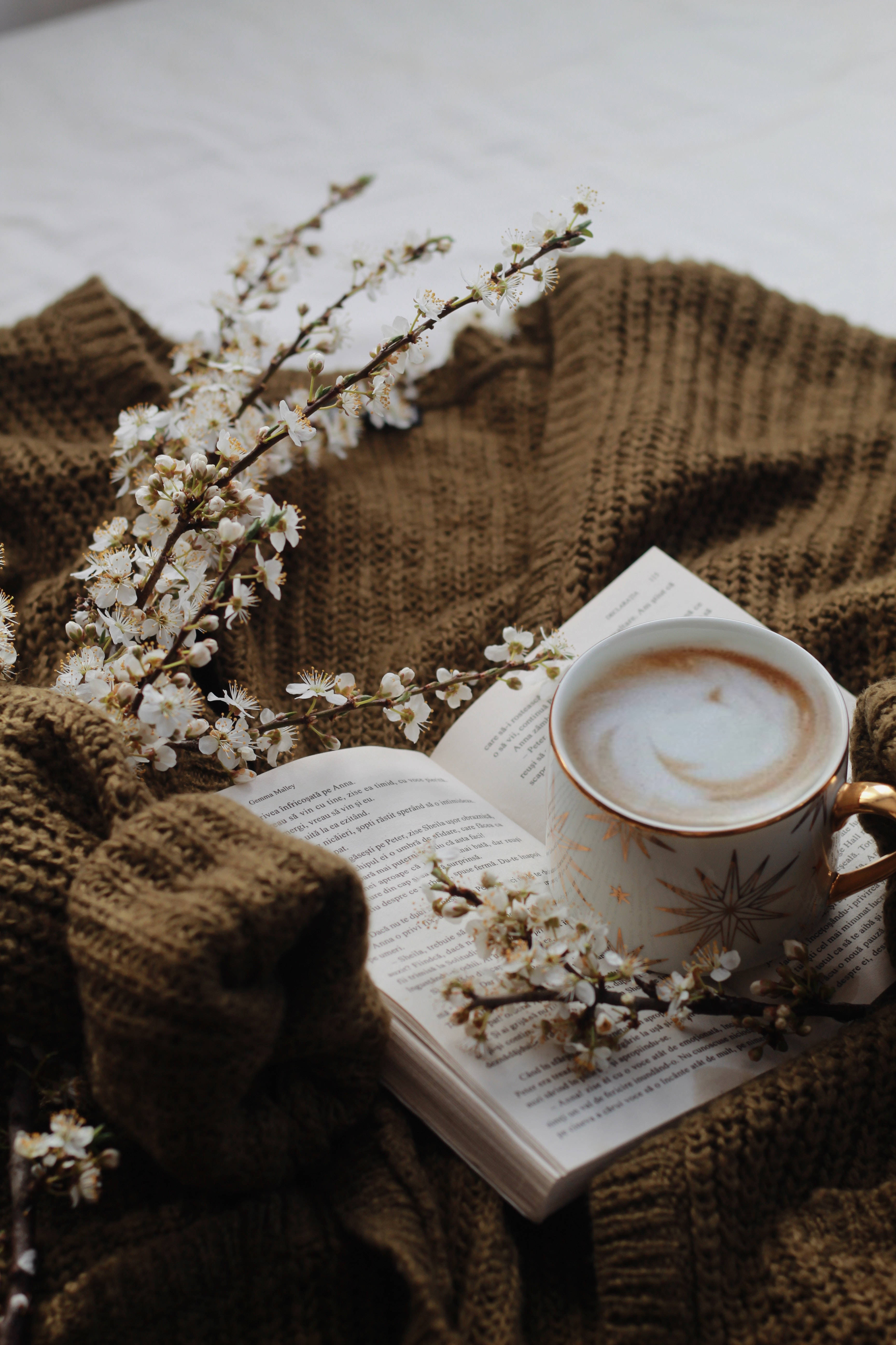 Præppy æstetisk kaffesweater Wallpapers