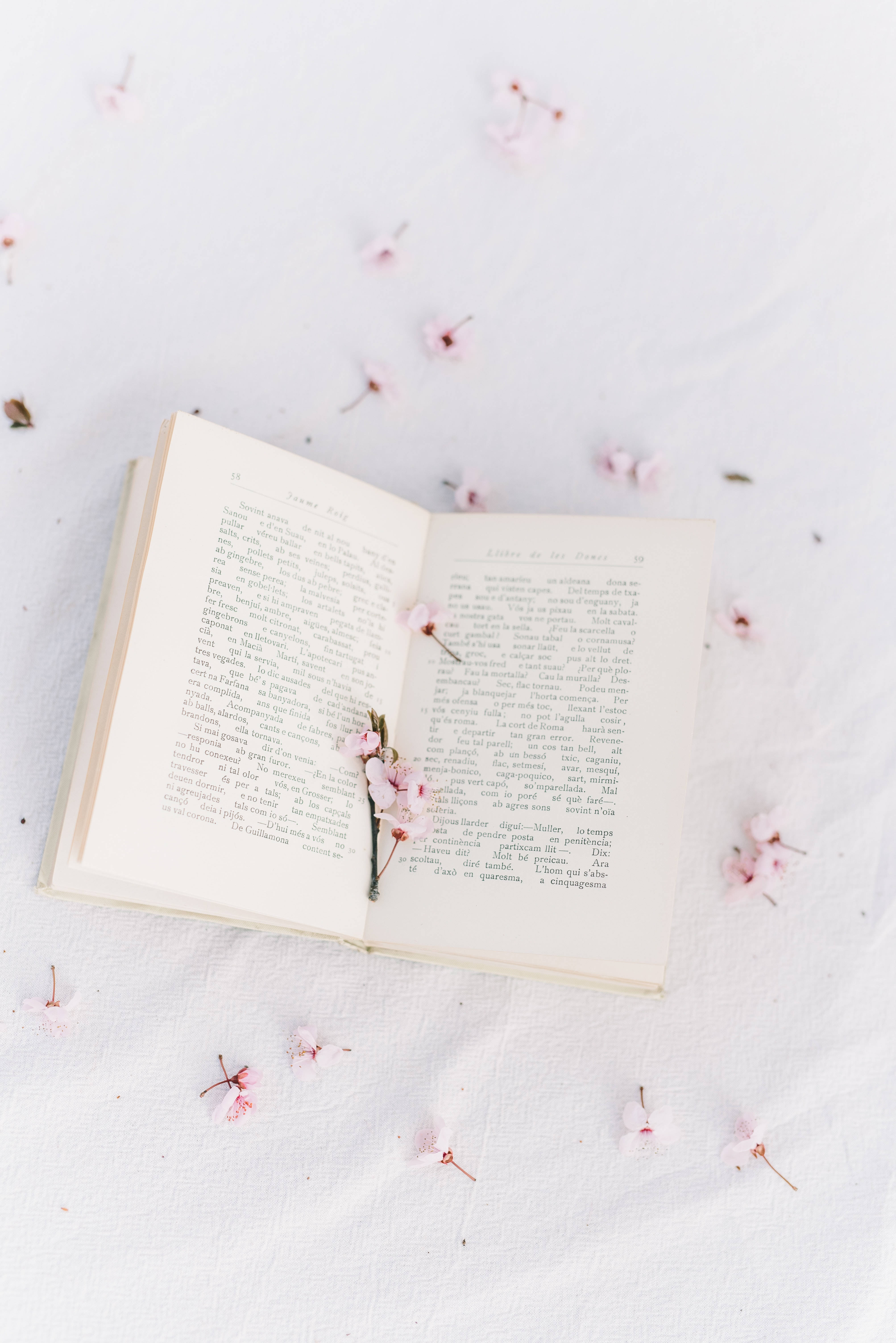 Preppy æstetik Sakura bog Wallpapers
