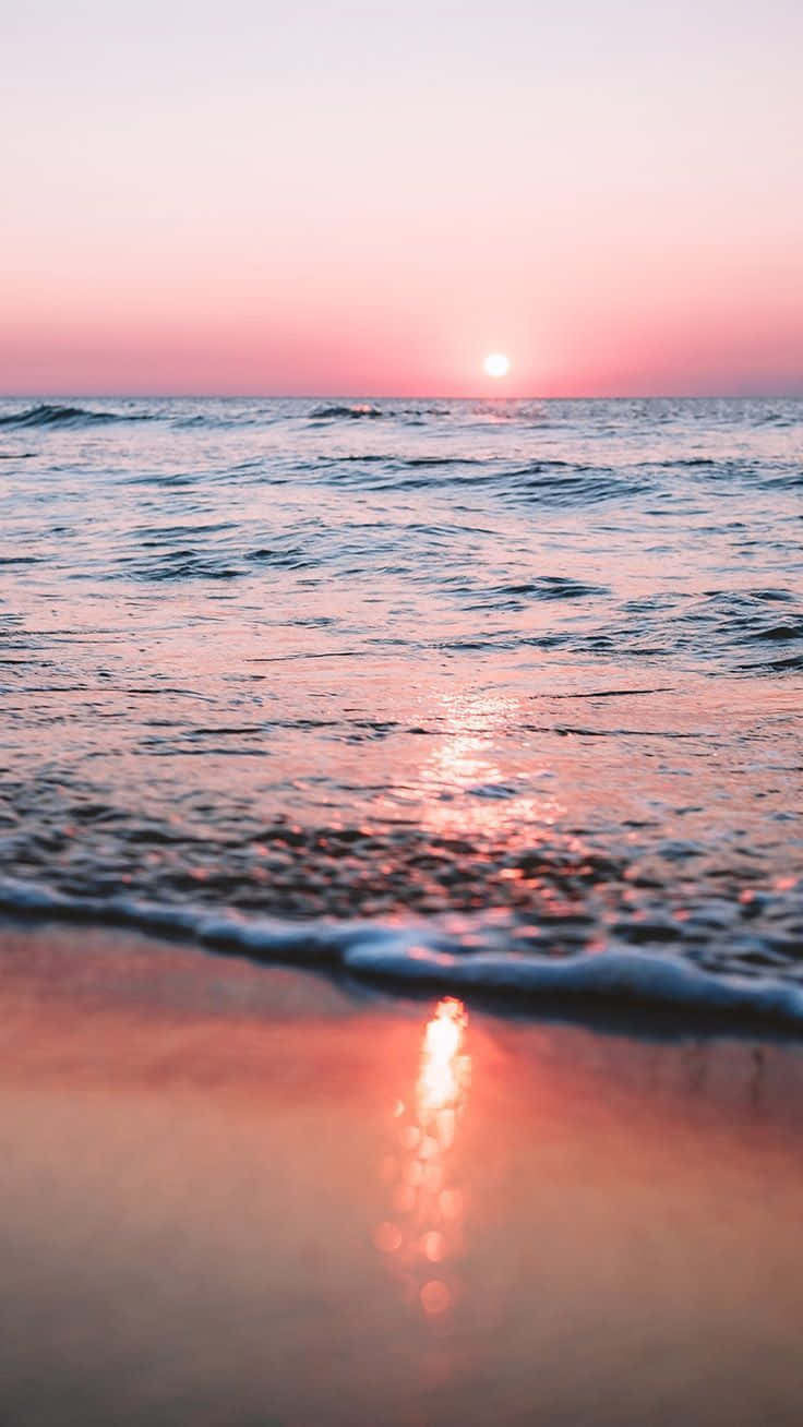 Preppy vibes til sommeren Wallpapers