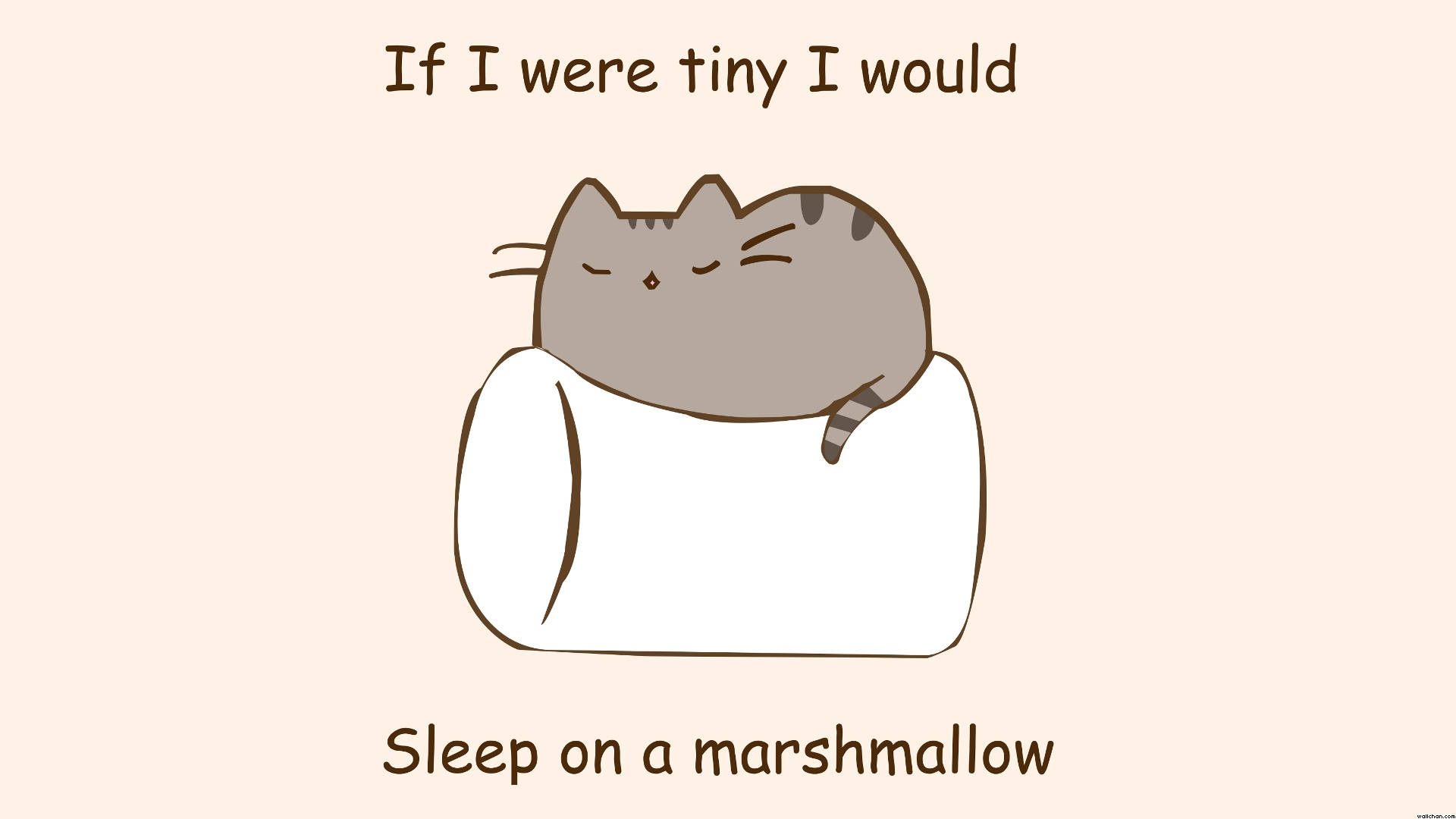 Pusheen sover på skumfidus Wallpapers