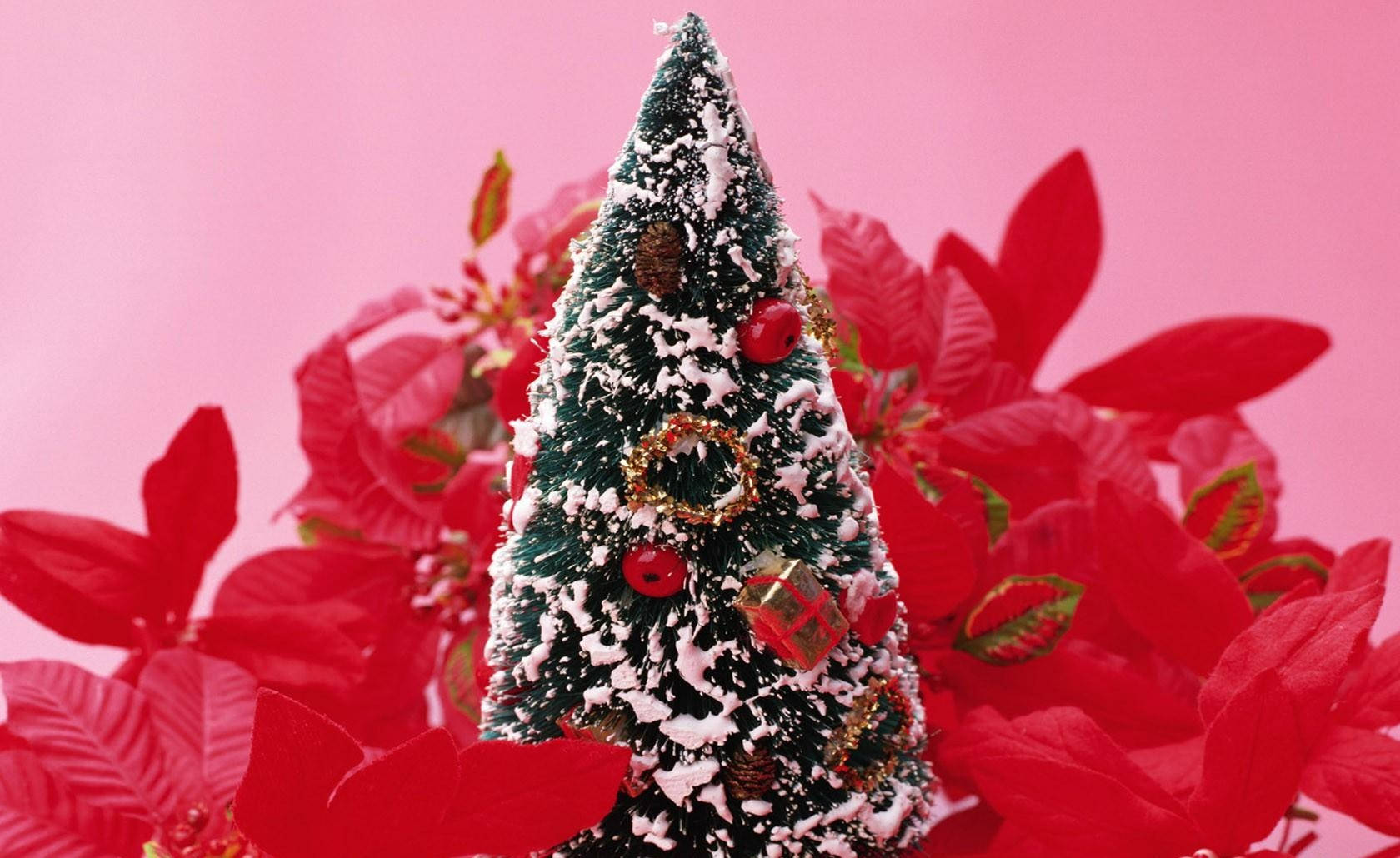 Pynt juletræet til jul! Wallpapers