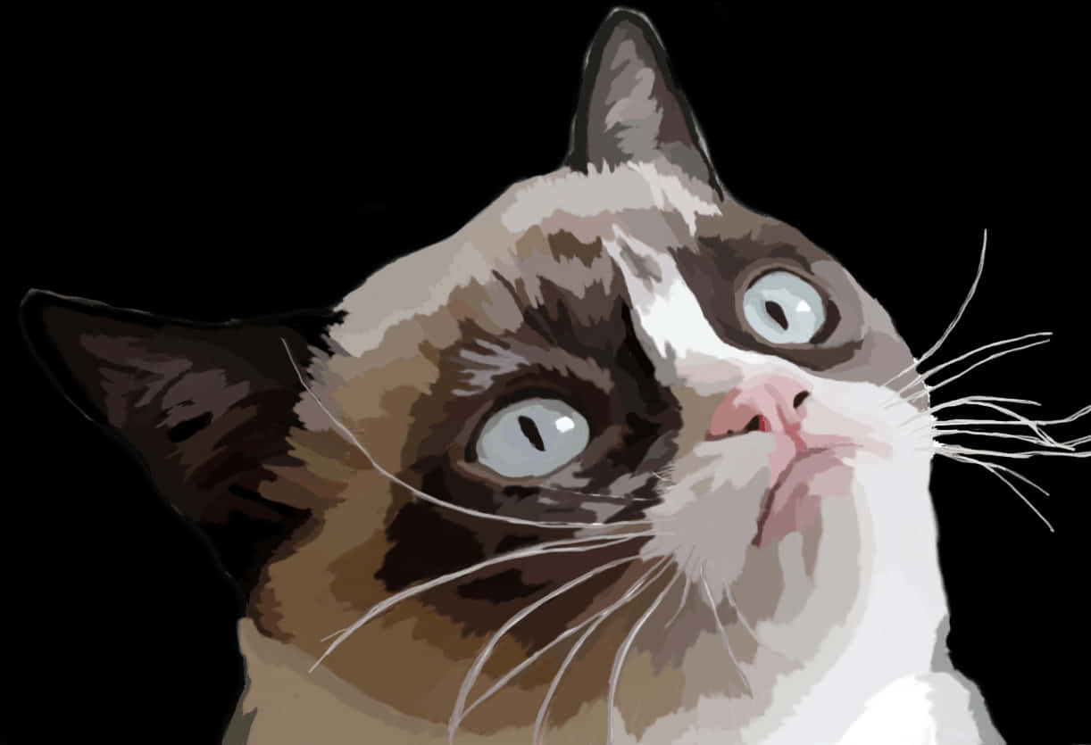 Quizende brun hvid kat Wallpapers