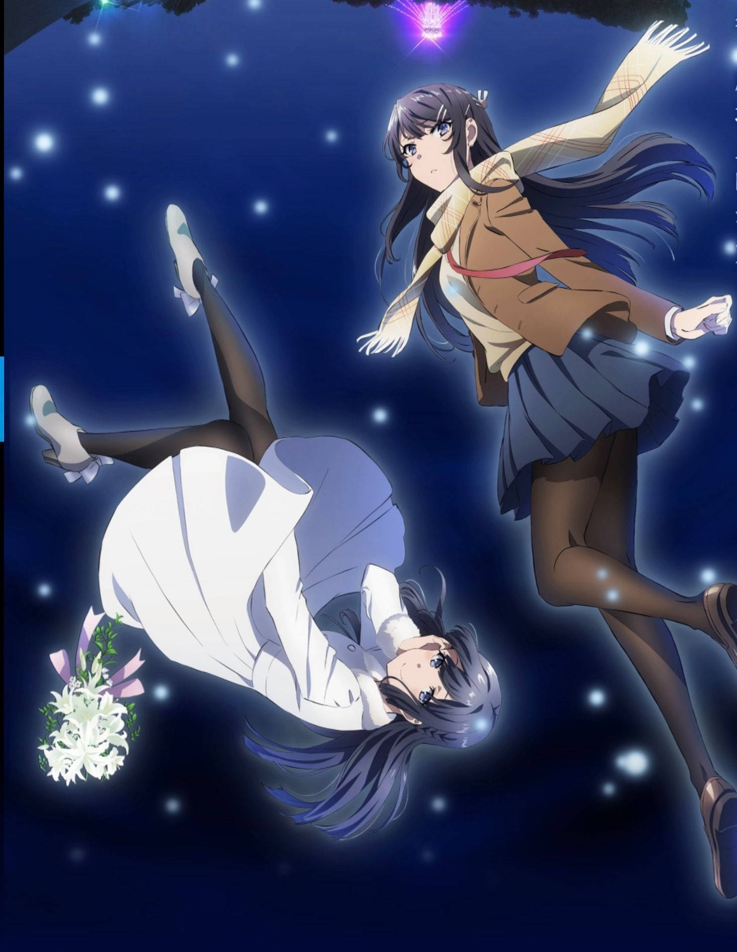 Rascal Does Not Dream Of Bunny Girl Senpai Shoko Og Mai Wallpapers