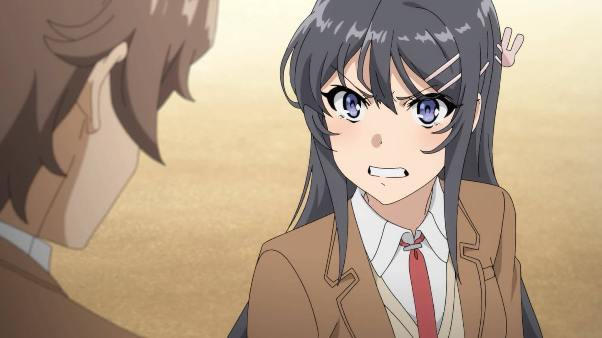 Rascal Does Not Dream Of Bunny Girl Senpai Vred Mai Wallpapers