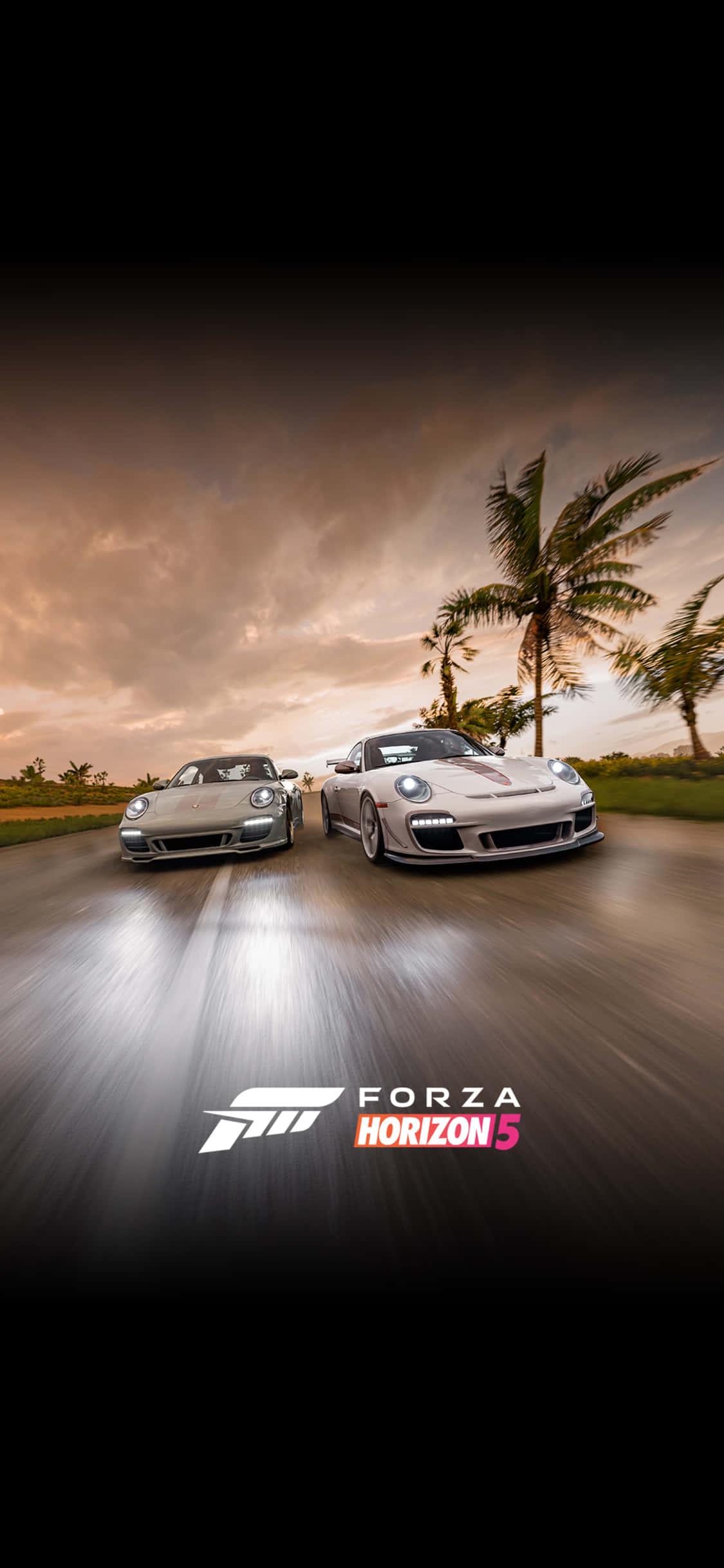 Ravensburger Porsche iPhone X Forza Motorsport 7 Baggrund Wallpapers