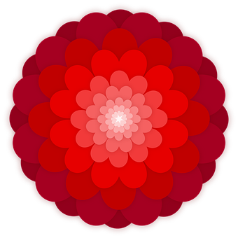 Rød gradient blomsterdesign Wallpapers